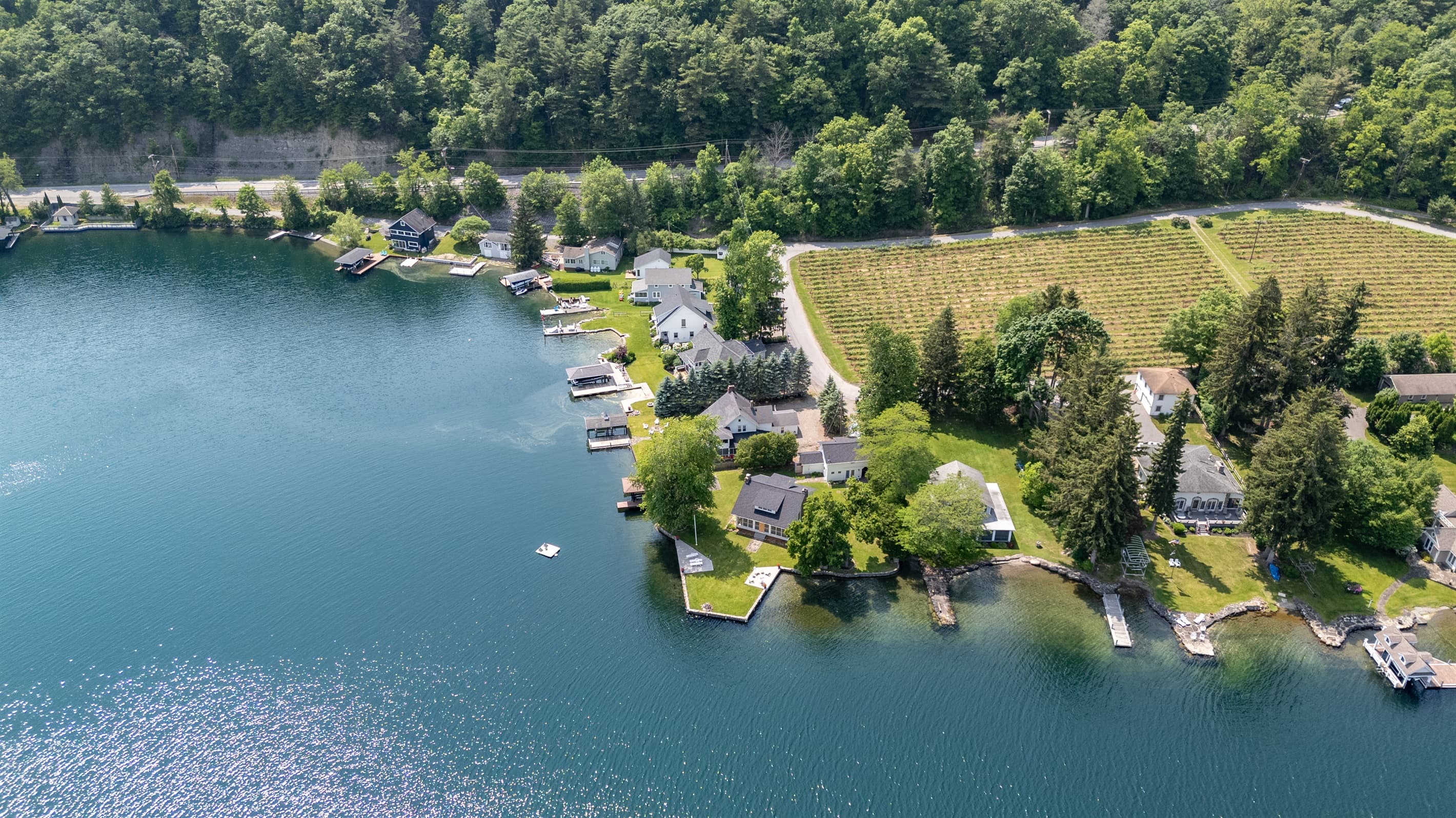 Shoreline homes surrounded by fields and trees