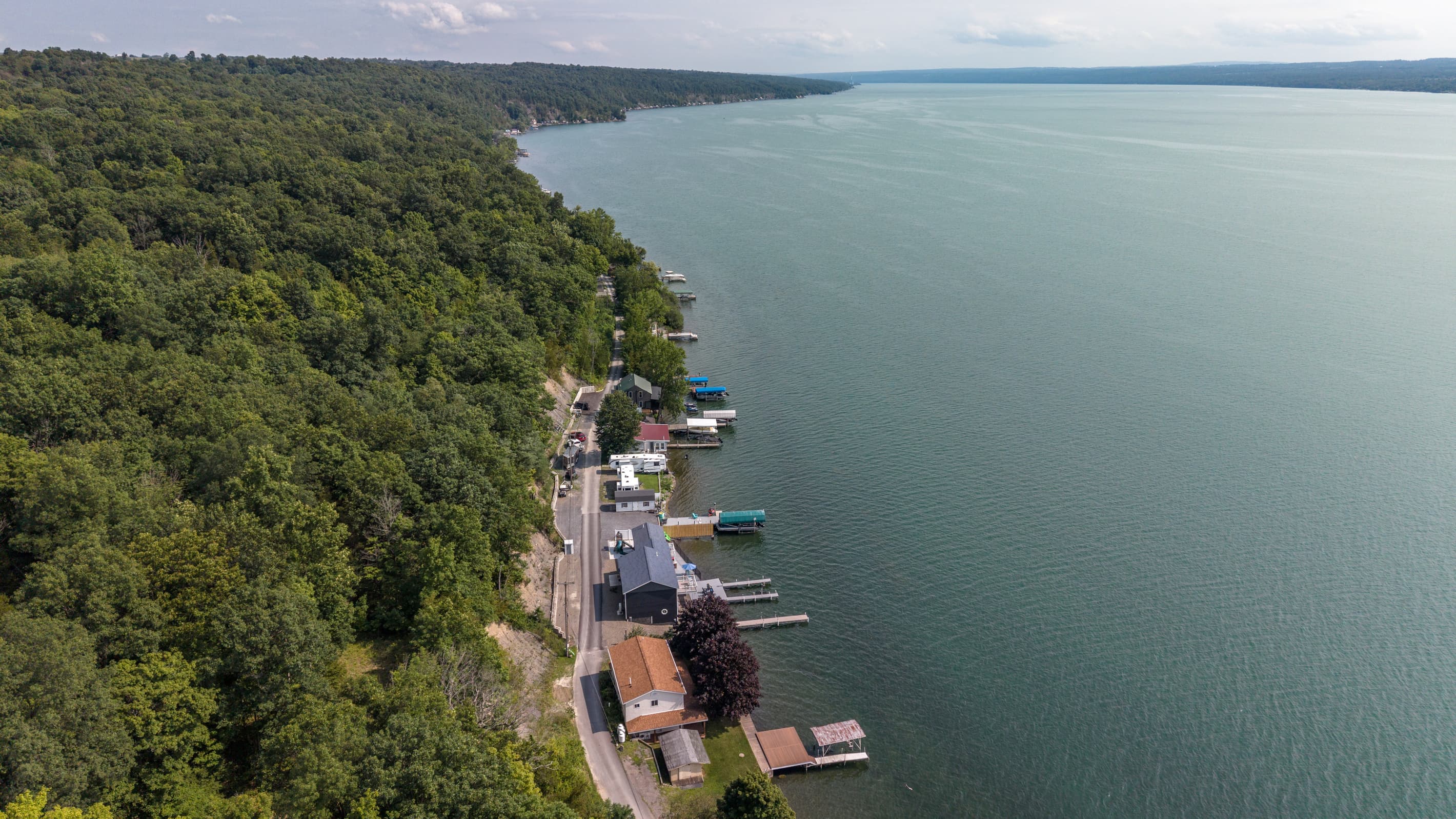 Wide lake view along the tree-lined shore