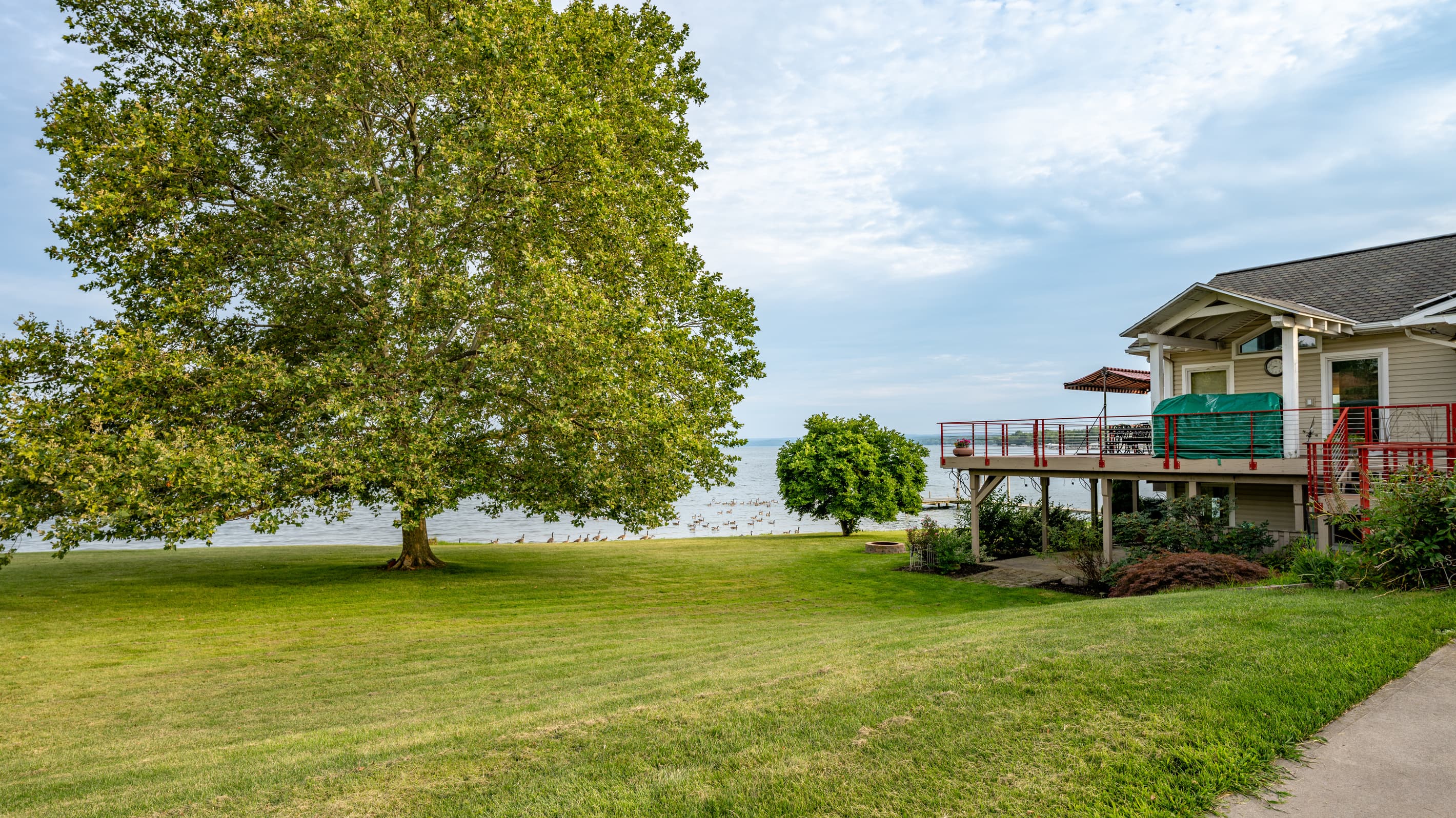 Broad lawn extending toward the shoreline