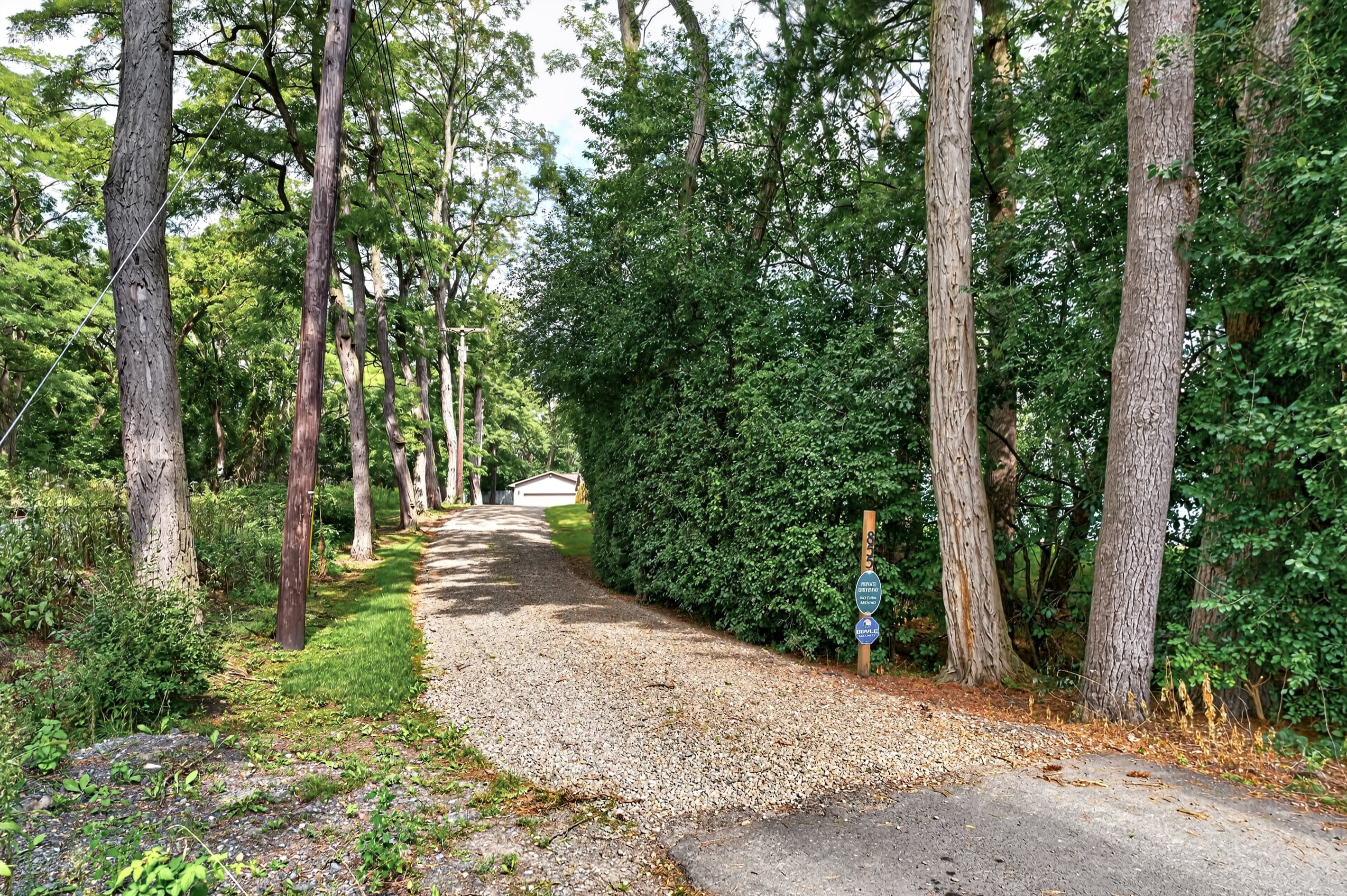 Gravel driveway through mature trees