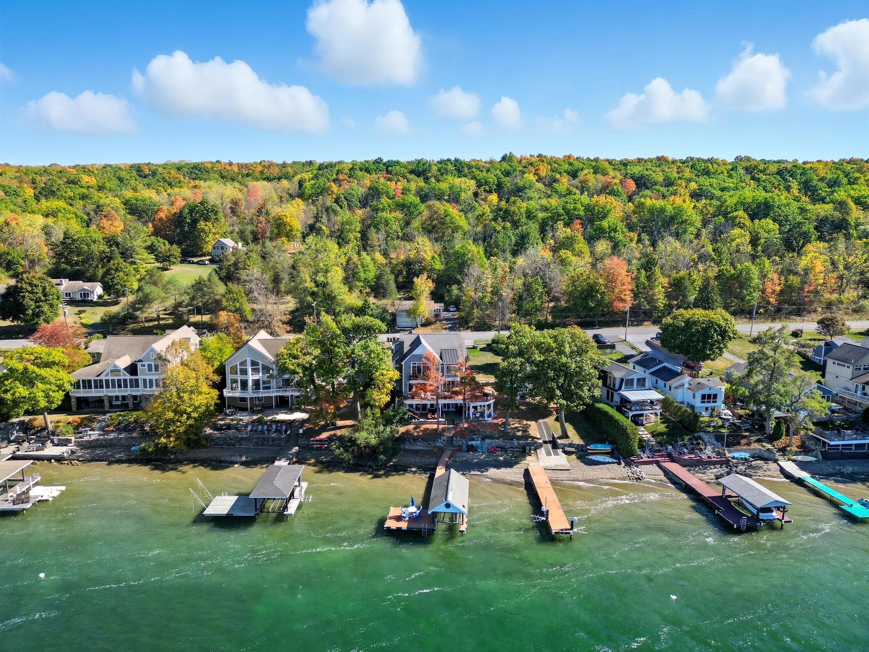 Aerial view of wooded shoreline neighborhood
