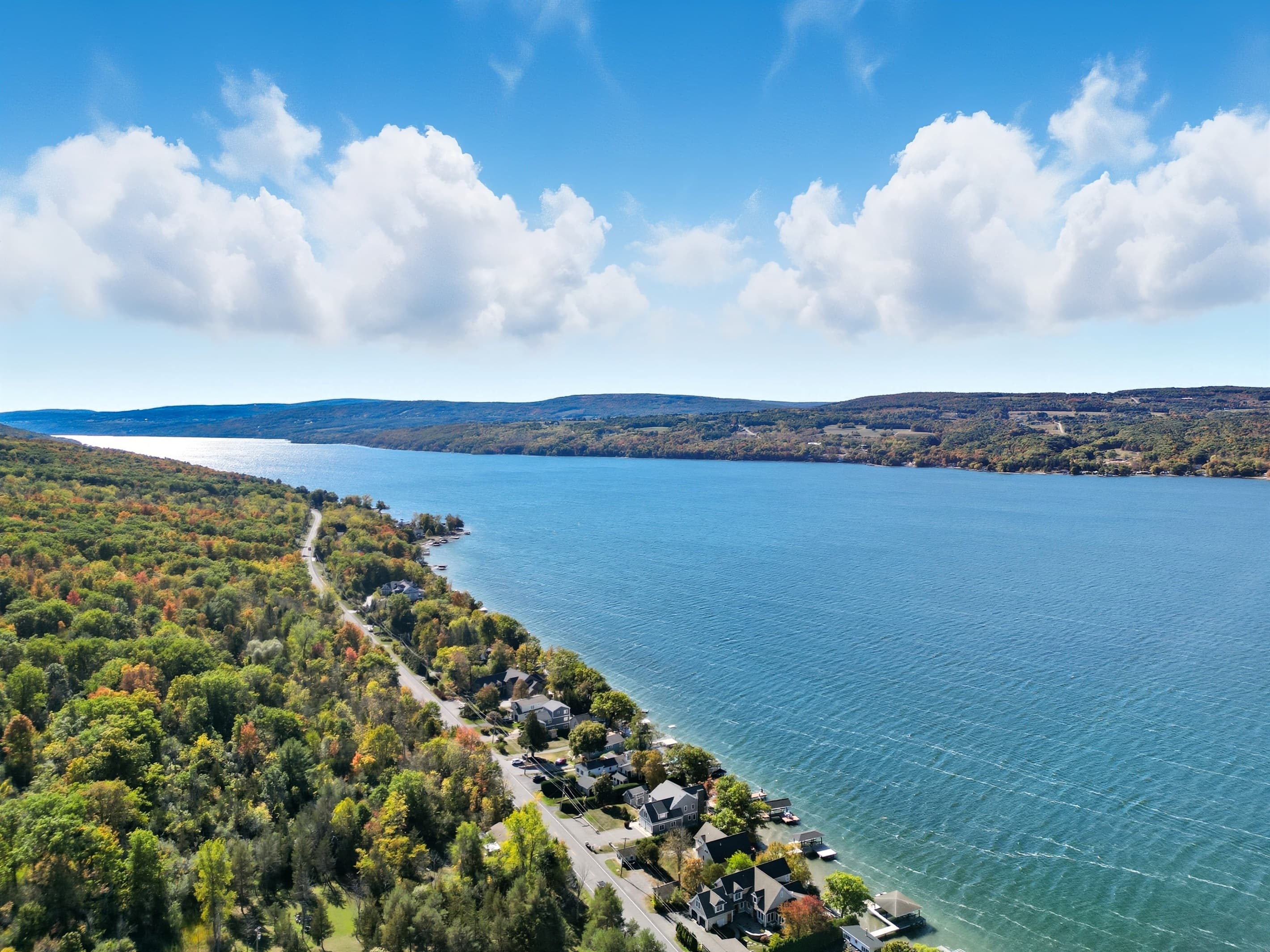 Wide lake view along wooded shoreline