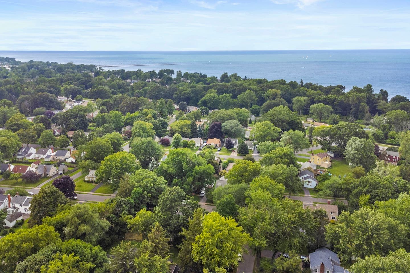 Lakeside neighborhood surrounded by trees