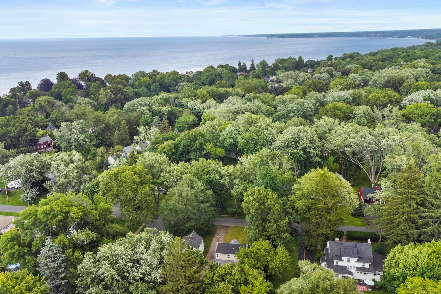 Tree-covered residential neighborhood from above