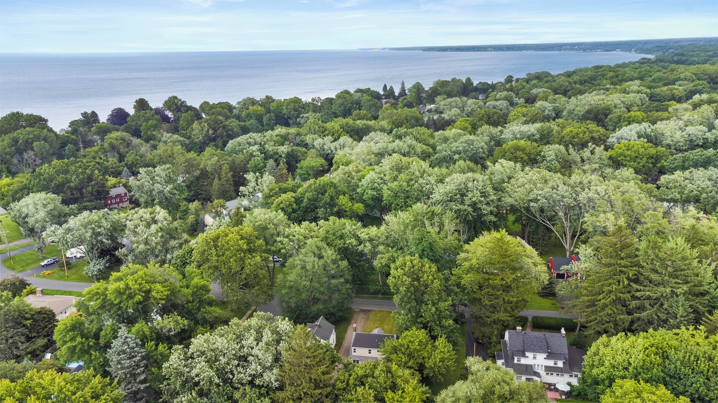 Hillside neighborhood among dense greenery