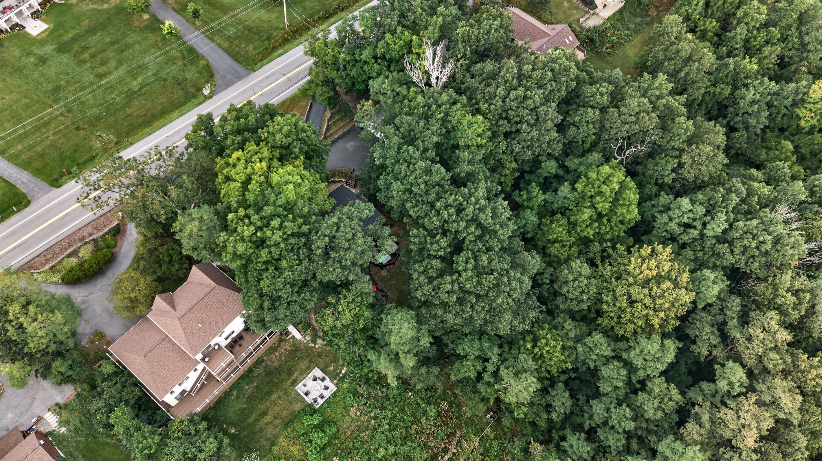 Home surrounded by dense trees