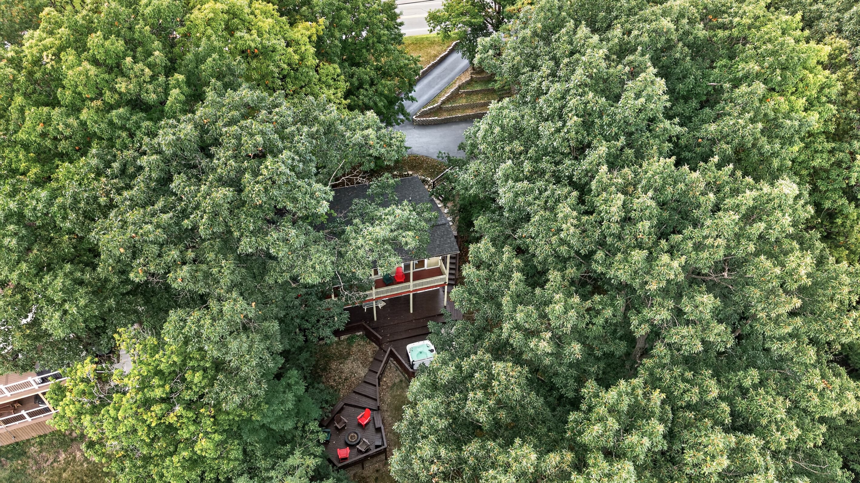 House partially visible through dense trees
