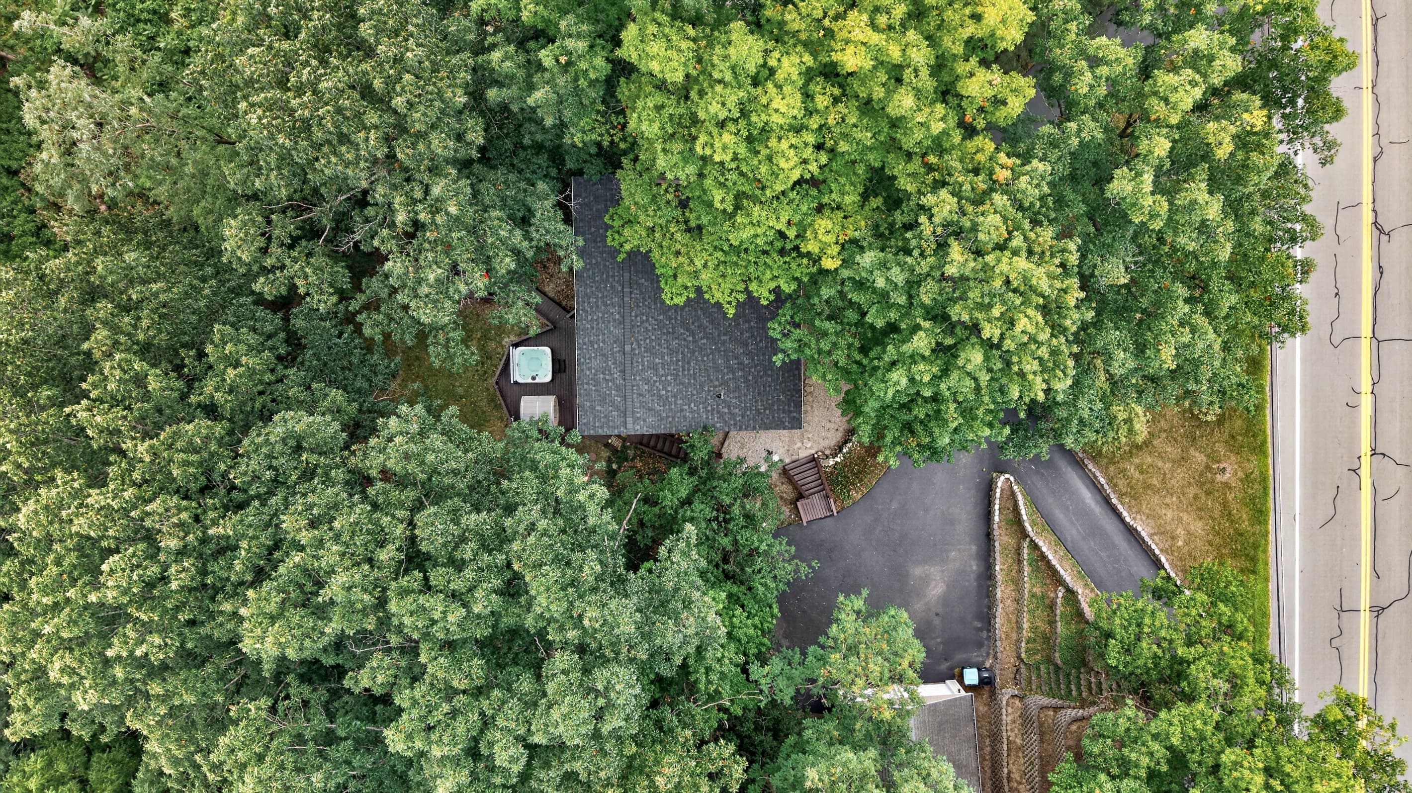 Rooftop view beneath the forest canopy
