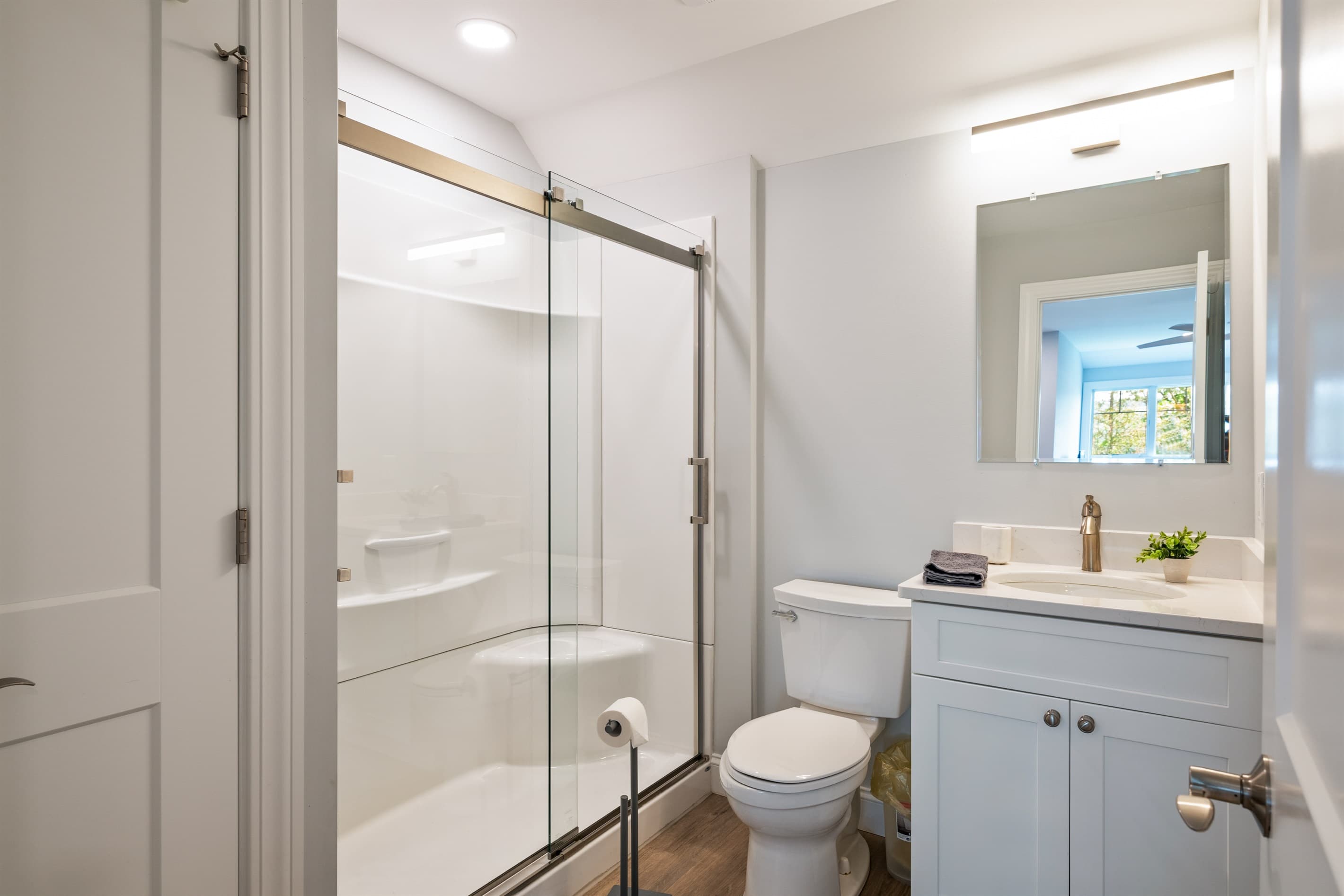 Bathroom with shower and white vanity