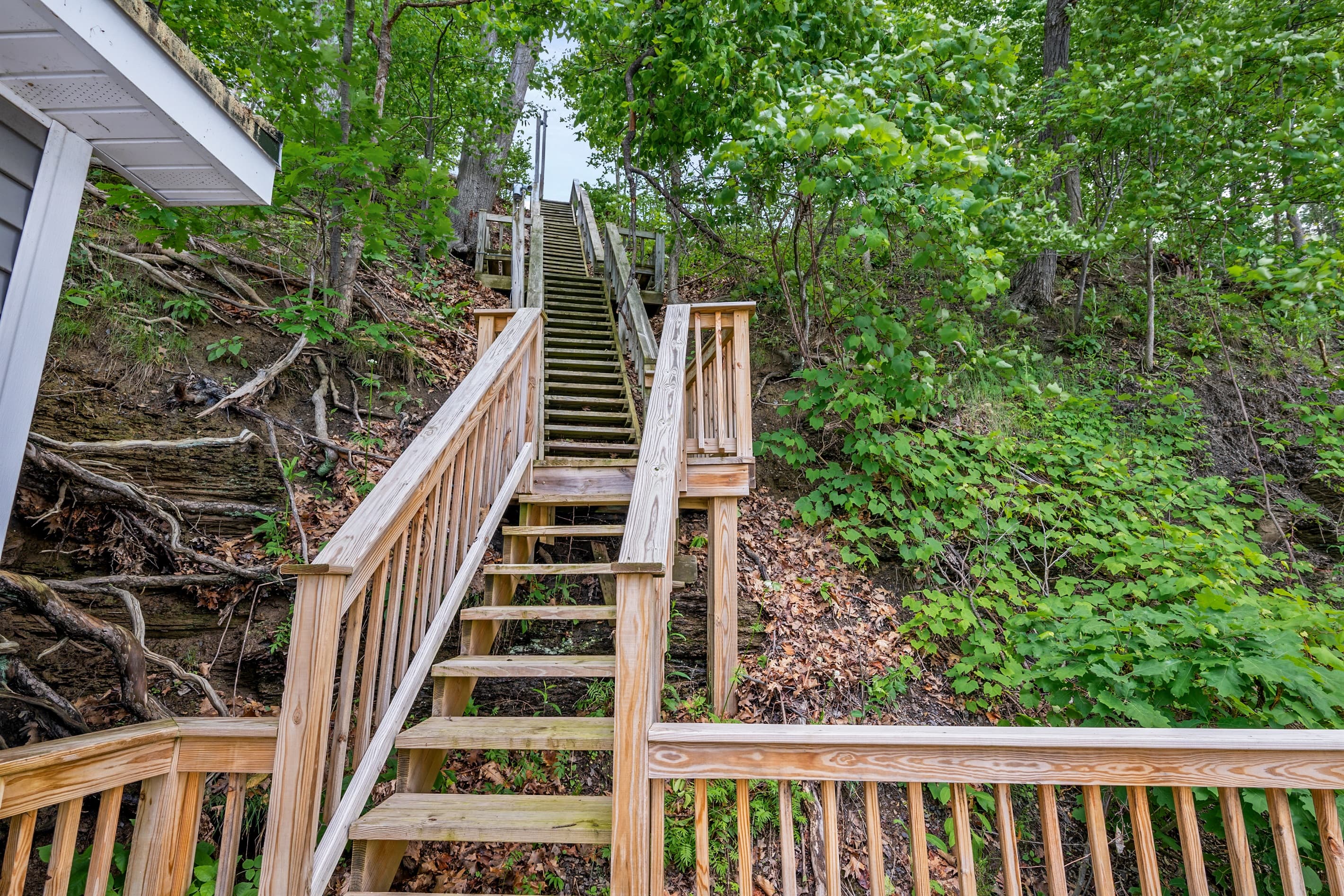 Wooden staircase descending through the wooded hillside