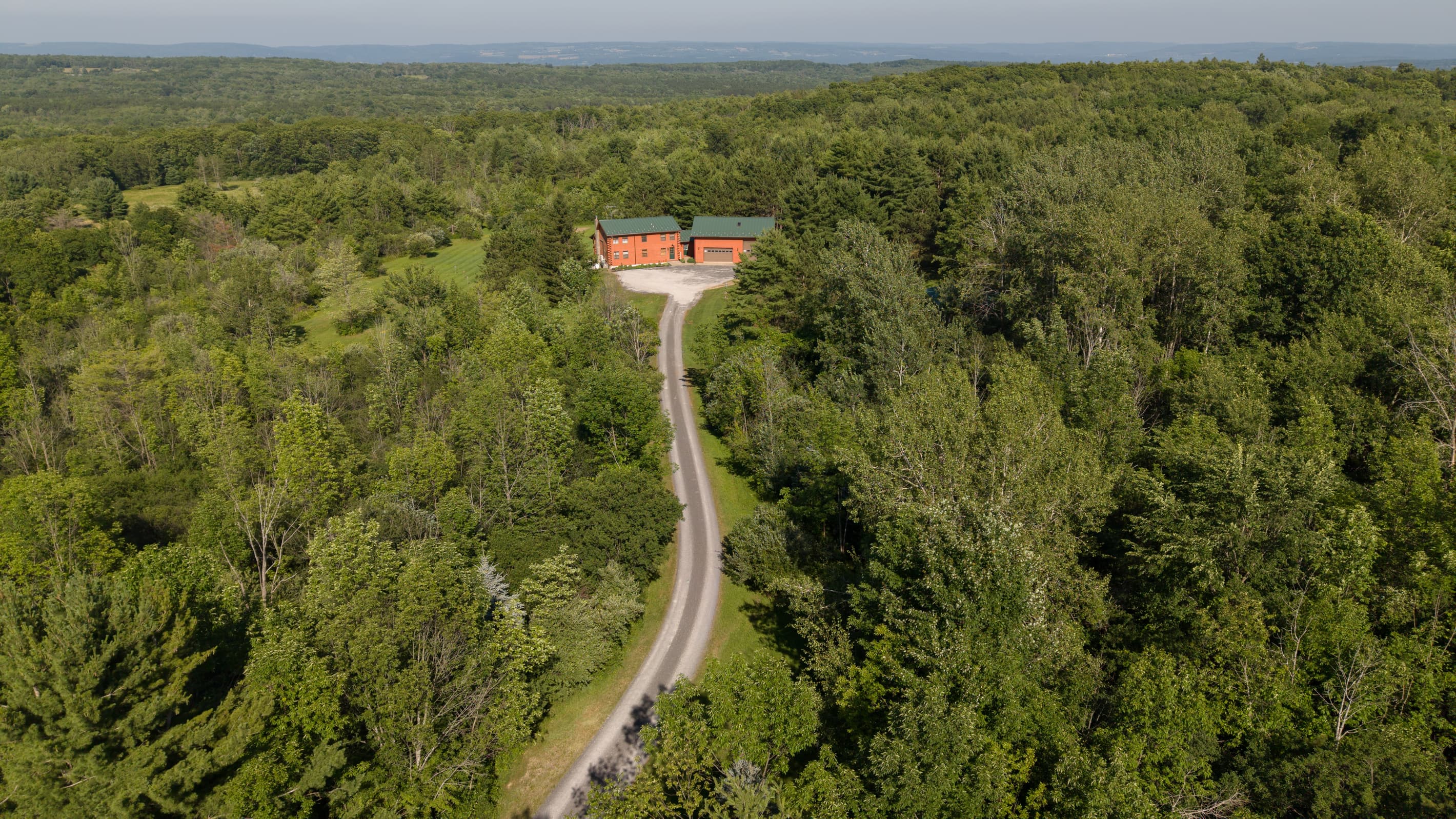 Long driveway leading through dense trees