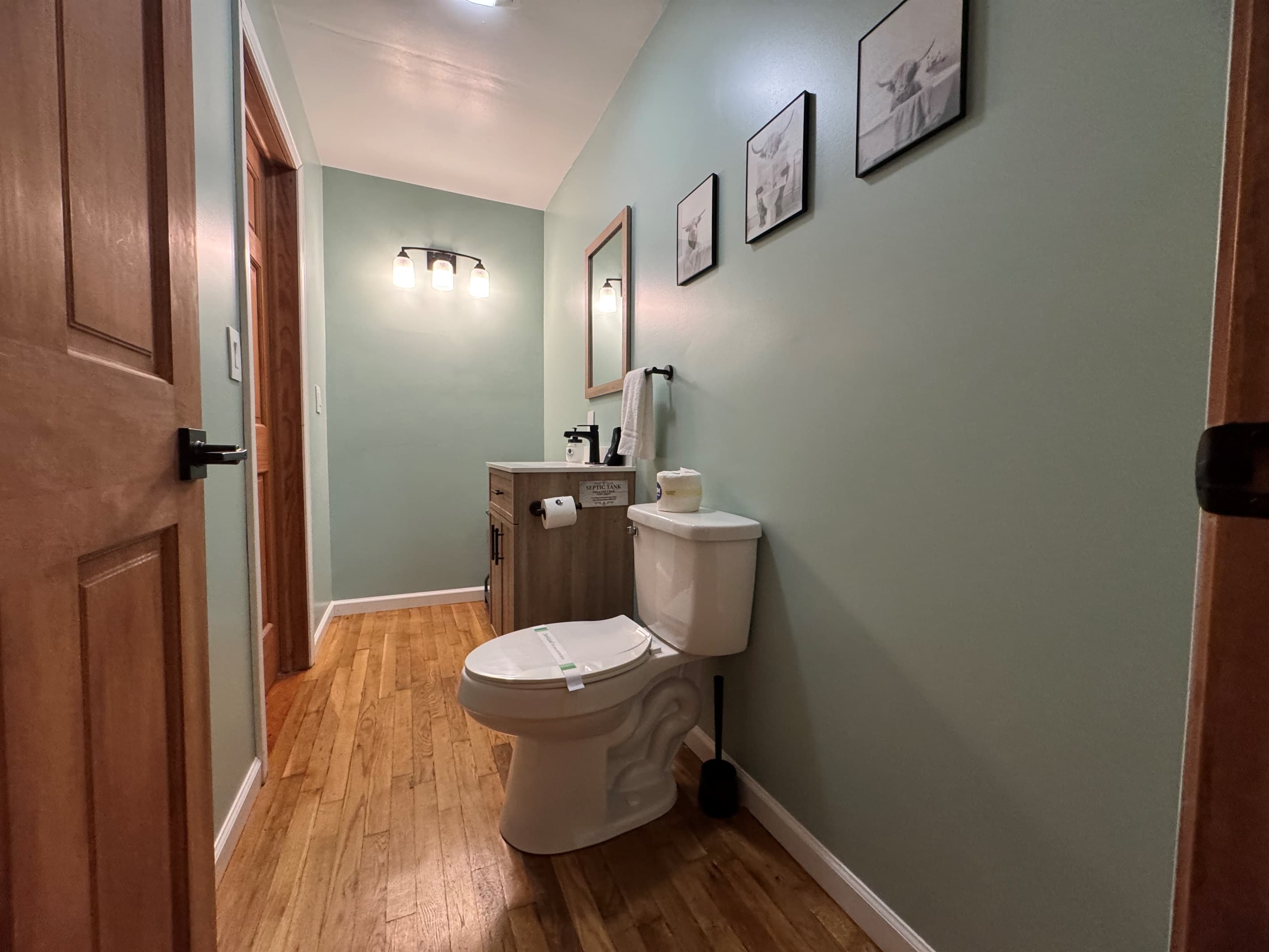 Narrow bathroom with toilet and vanity