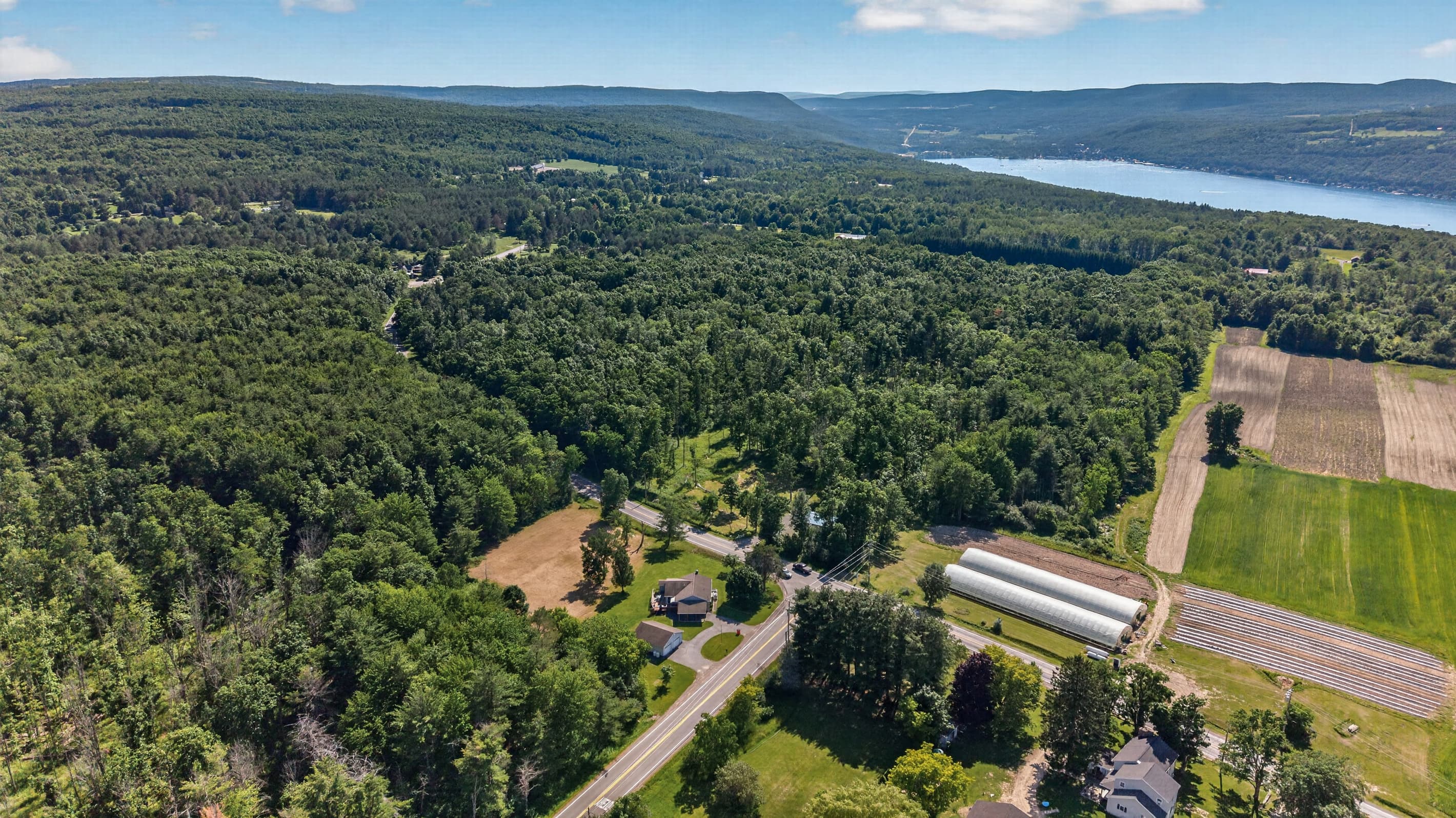 Aerial view of forest, farmland, and distant lake