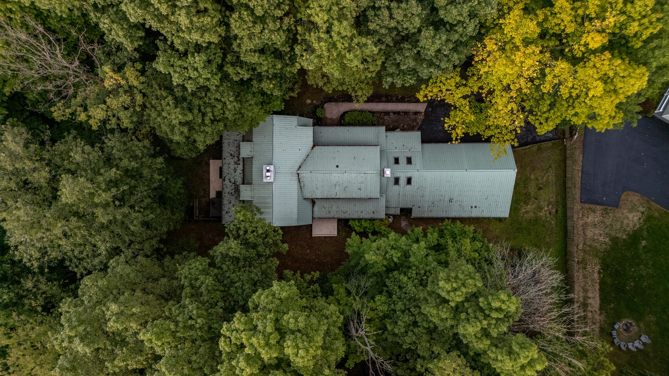 Cabin roofline surrounded by dense woodland