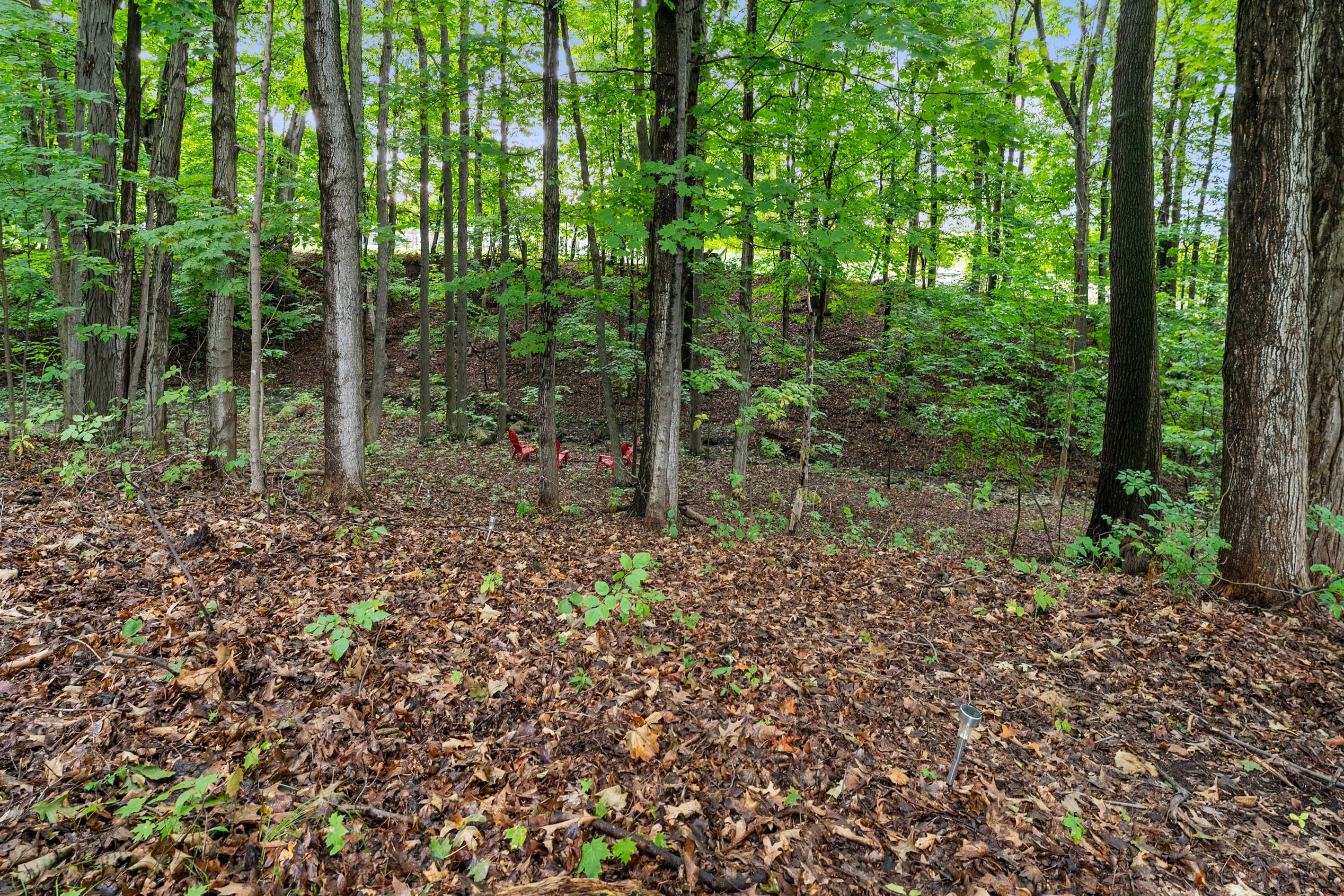 Private wooded grounds with natural terrain