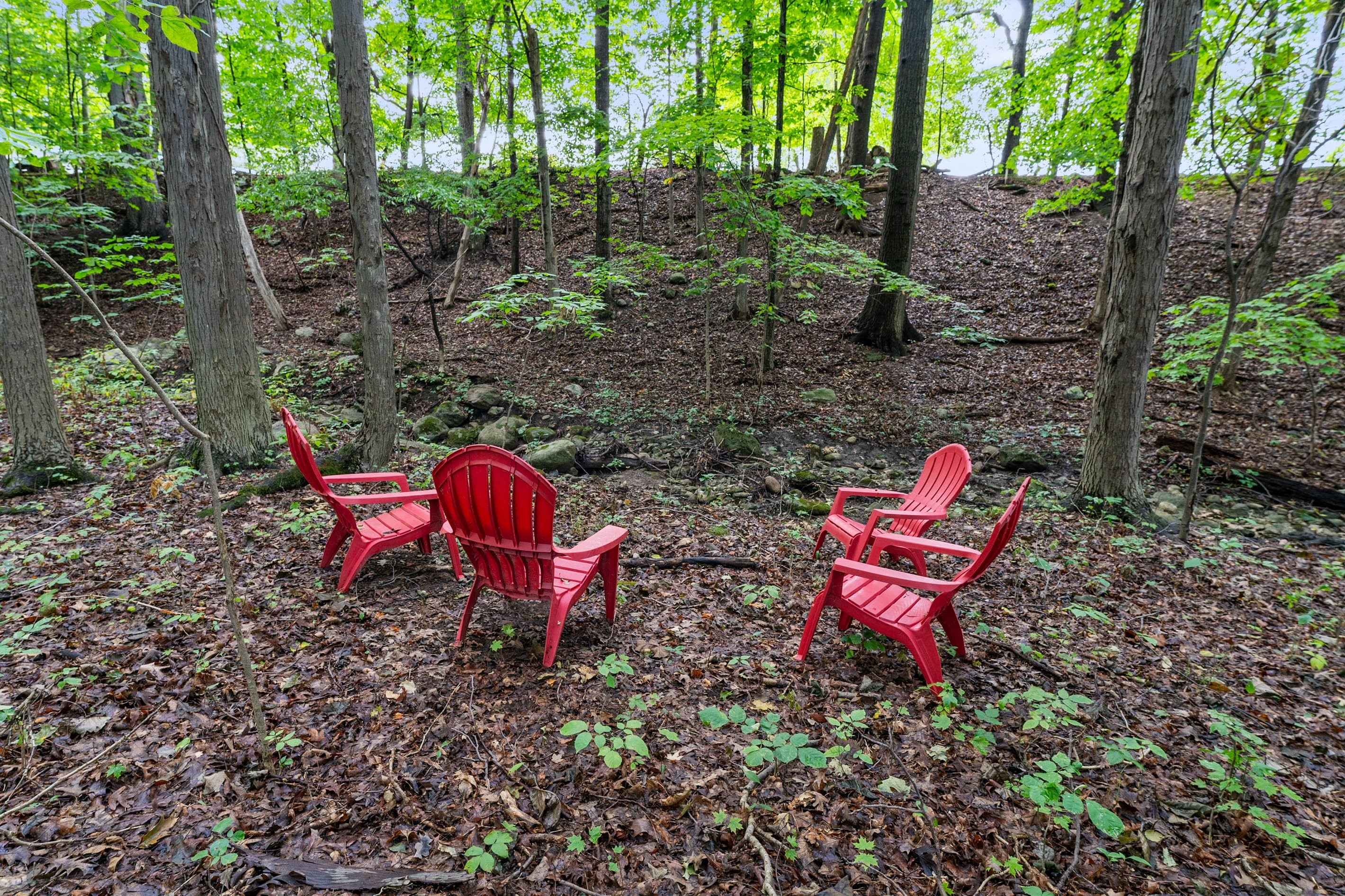 Adirondack chairs arranged beneath the trees
