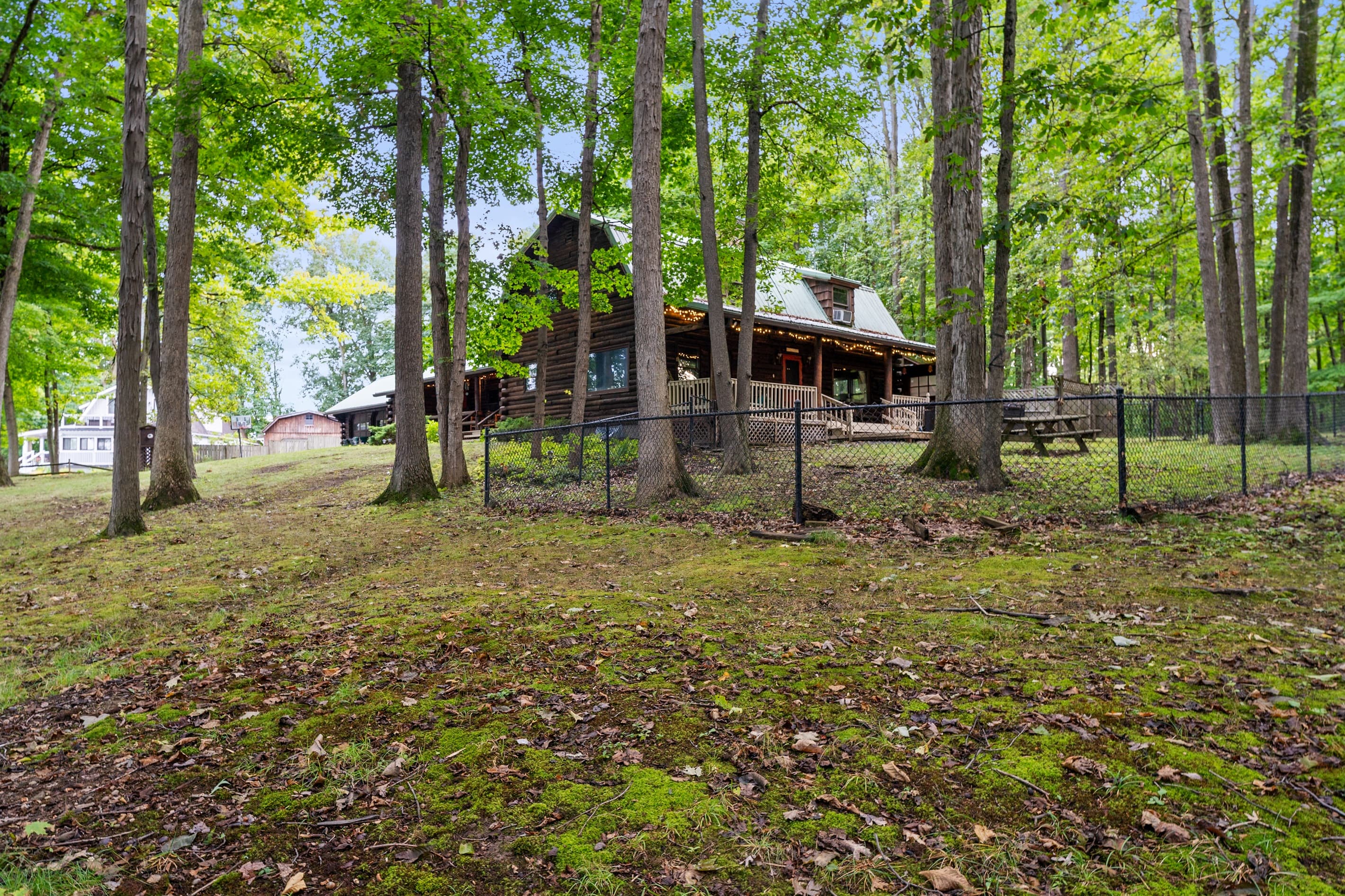 Open woodland yard with scattered seating