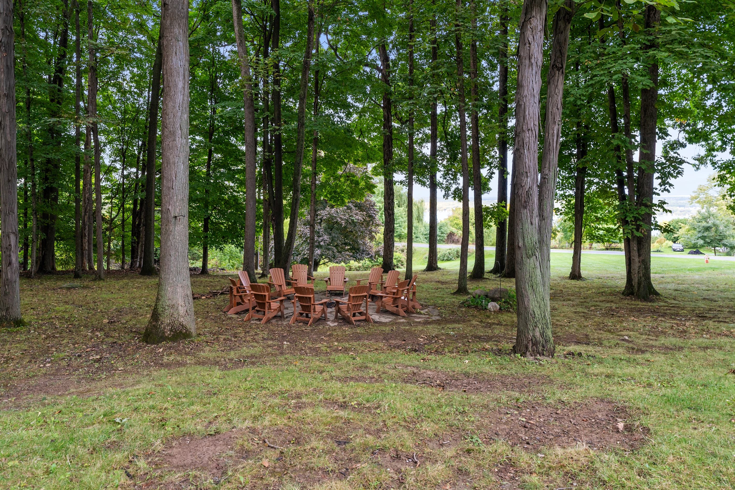 Fire pit seating under the forest canopy