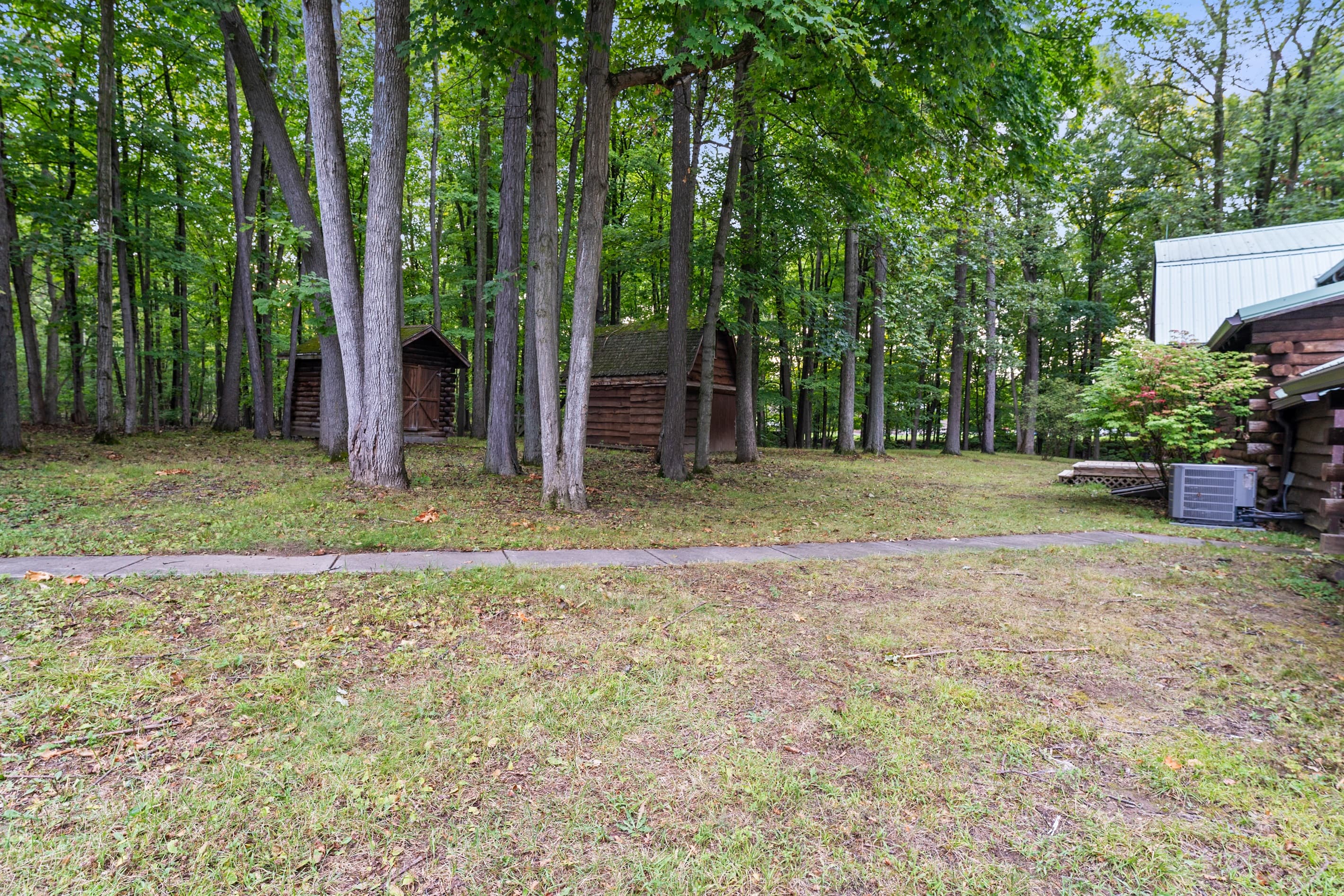 Expansive yard surrounded by woodland