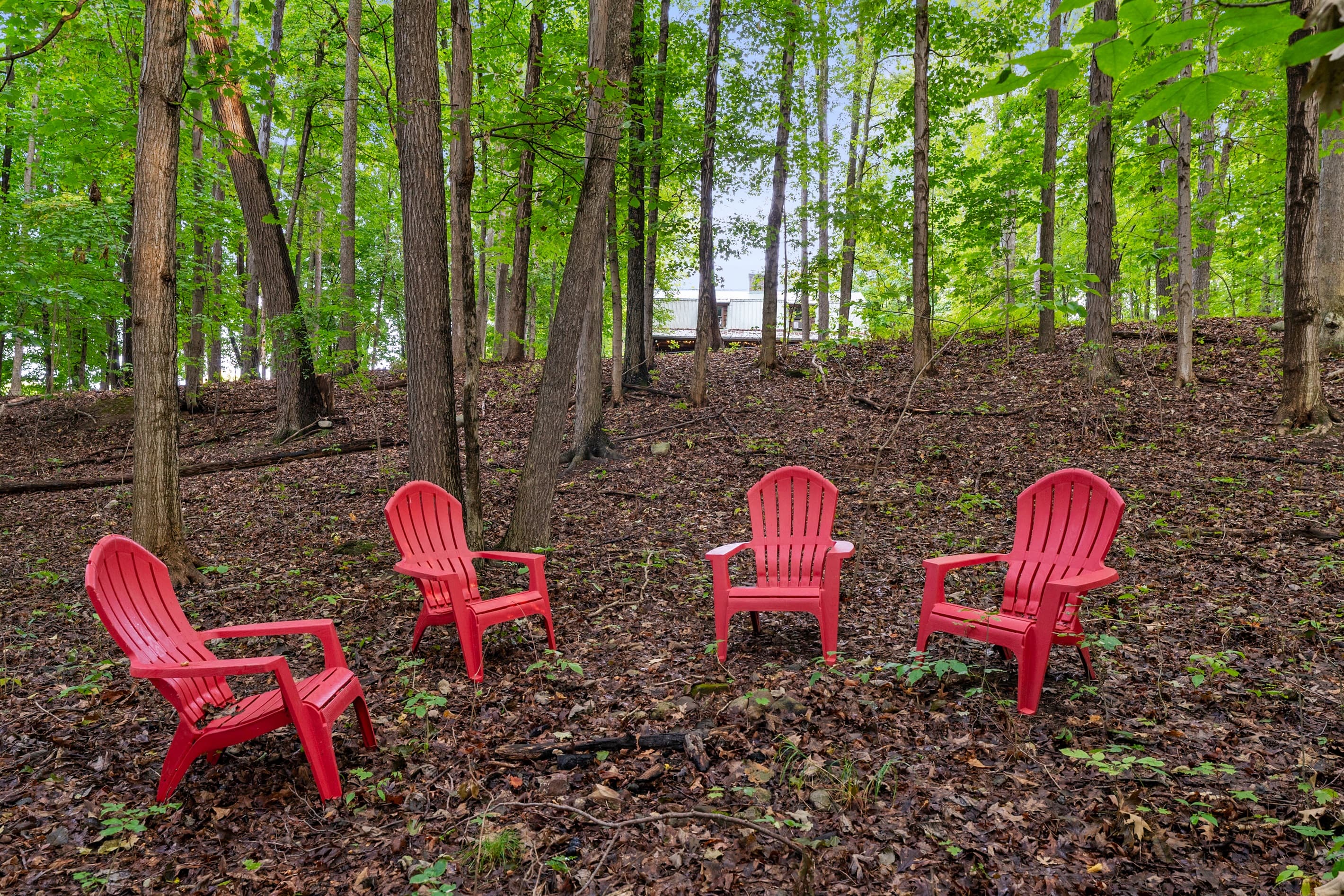 Red Adirondack chairs gathered in the woods