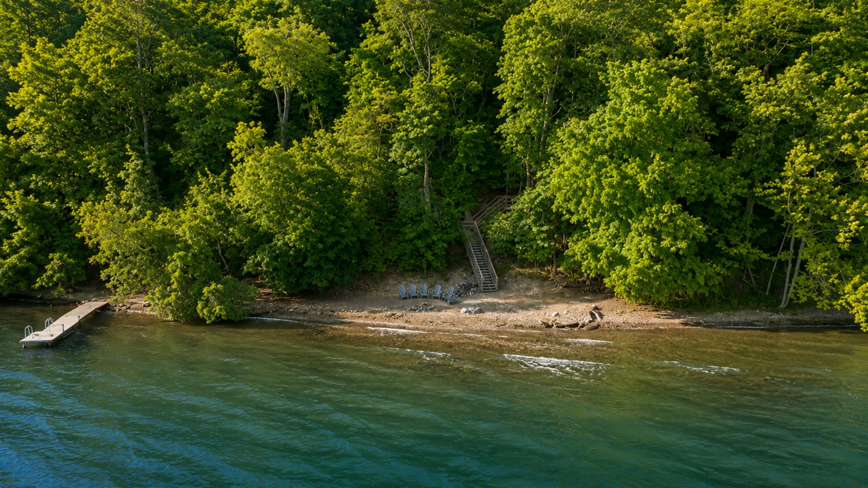 Aerial view of the tree-lined shoreline