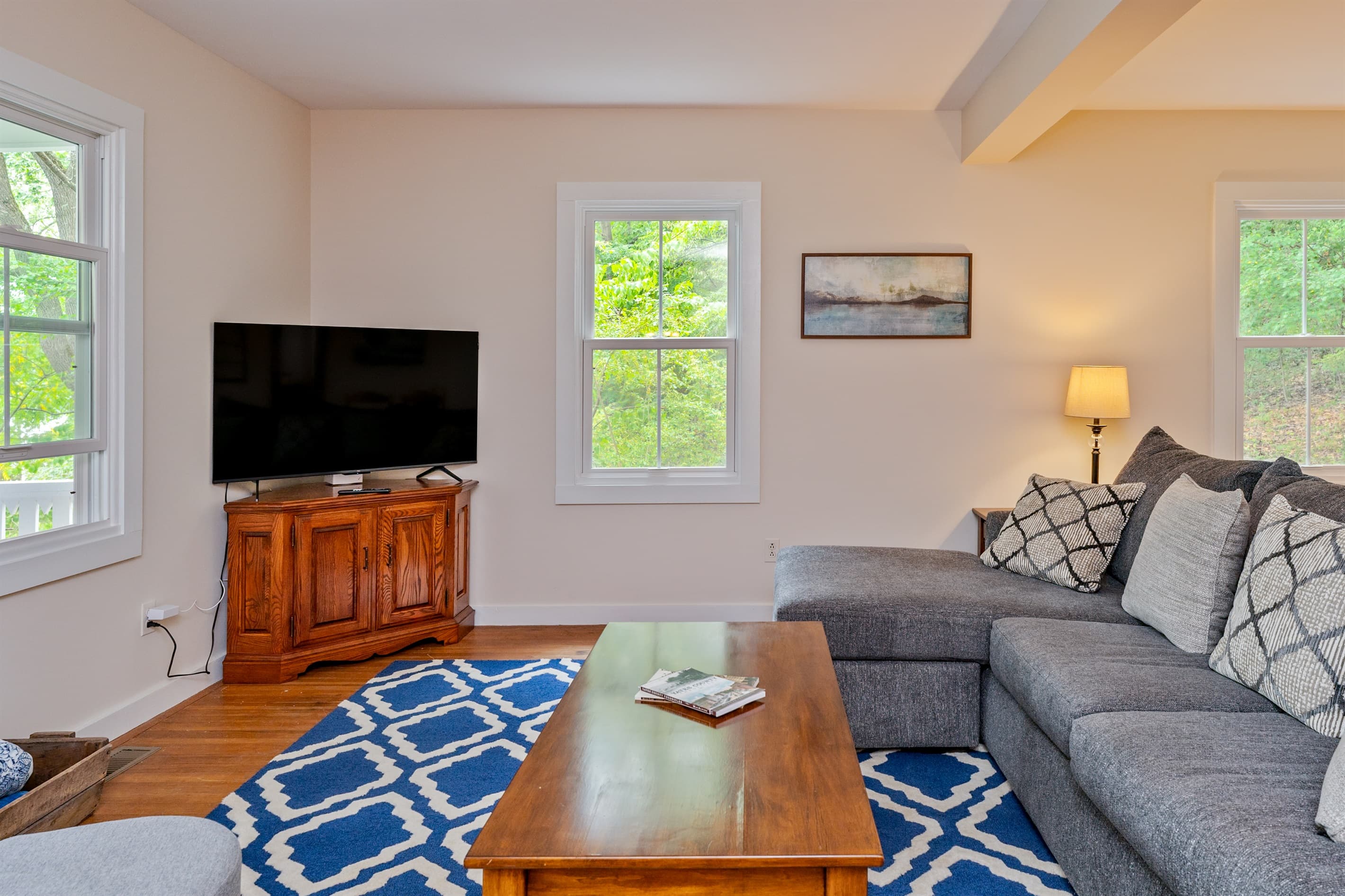 Living room with television on wooden console