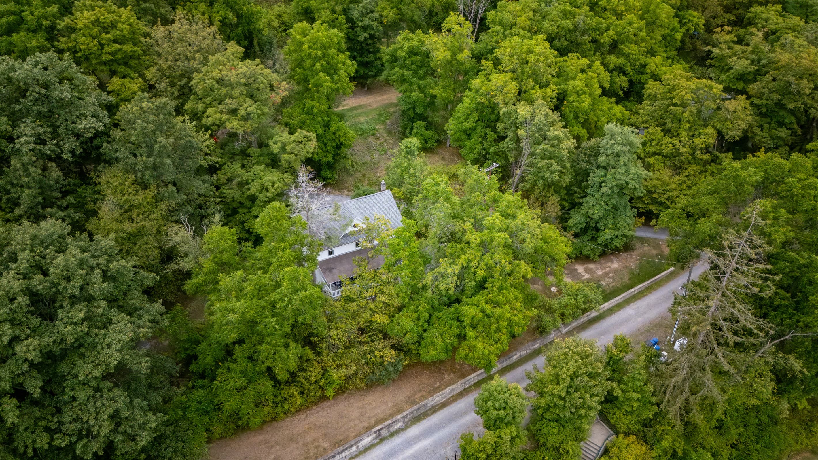 Aerial view of the home within dense trees