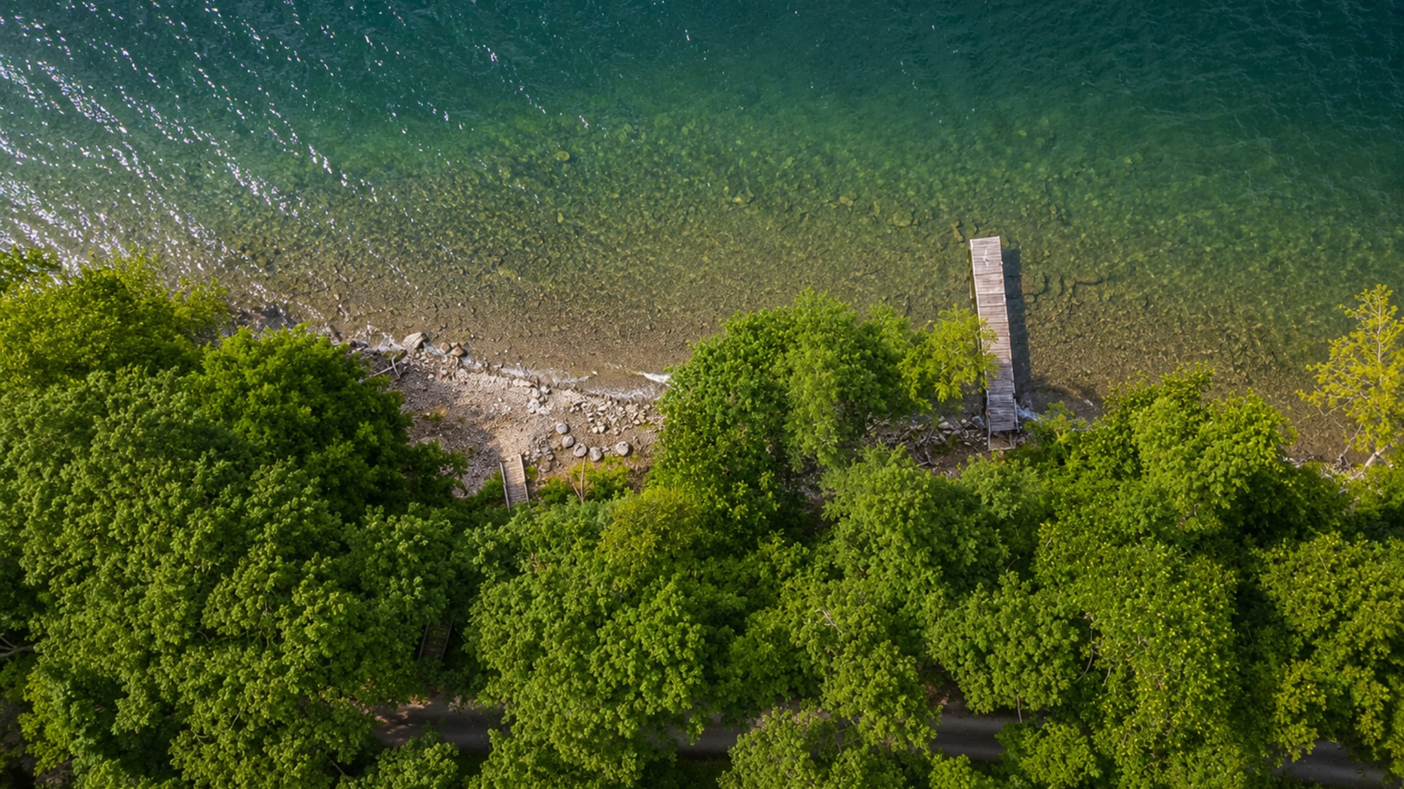 Overhead view of the lakefront and dock