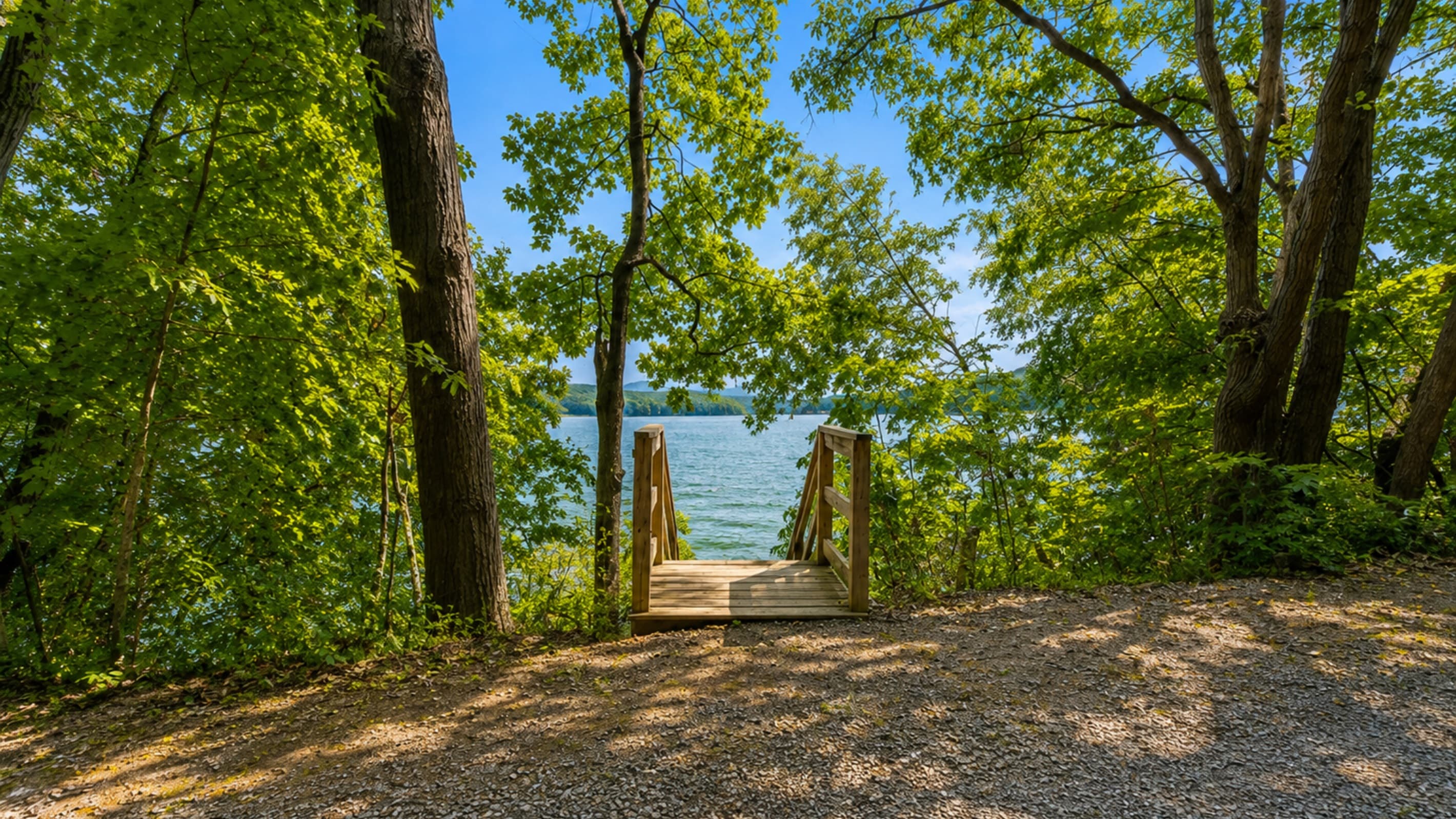 Wooded path leading toward the shoreline