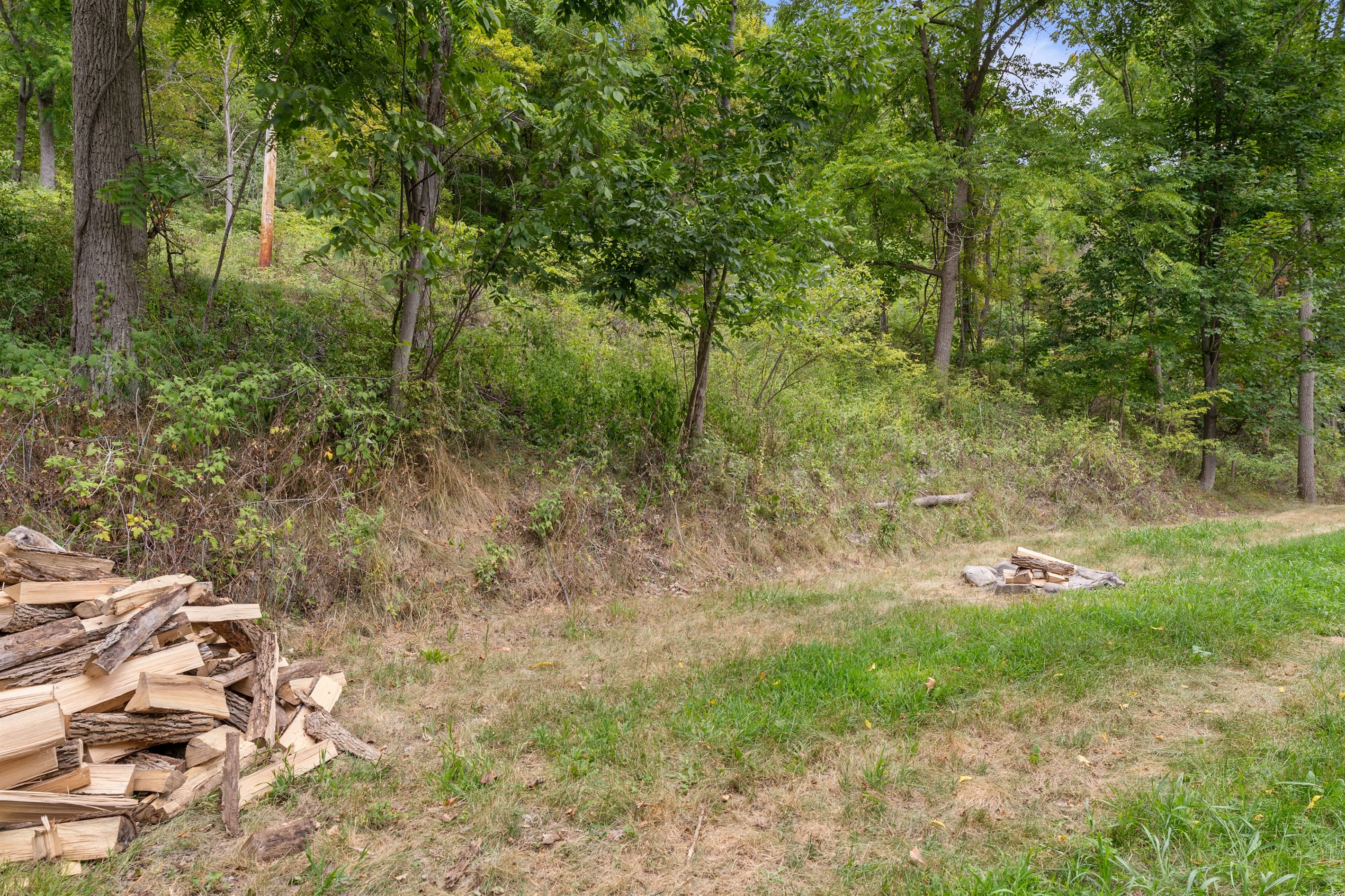 Wooded yard with stacked firewood