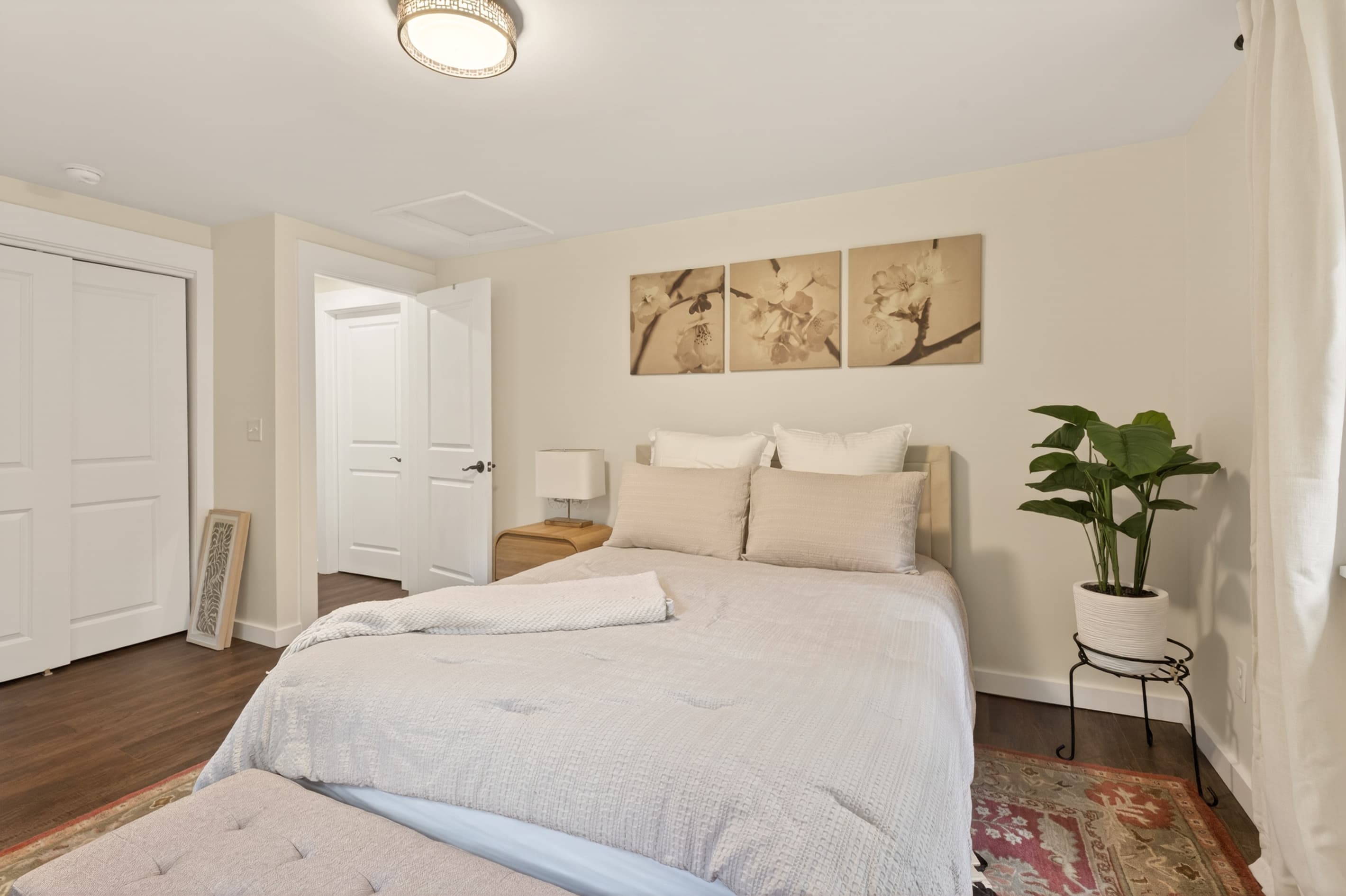 Bedroom with white bedding and potted plant
