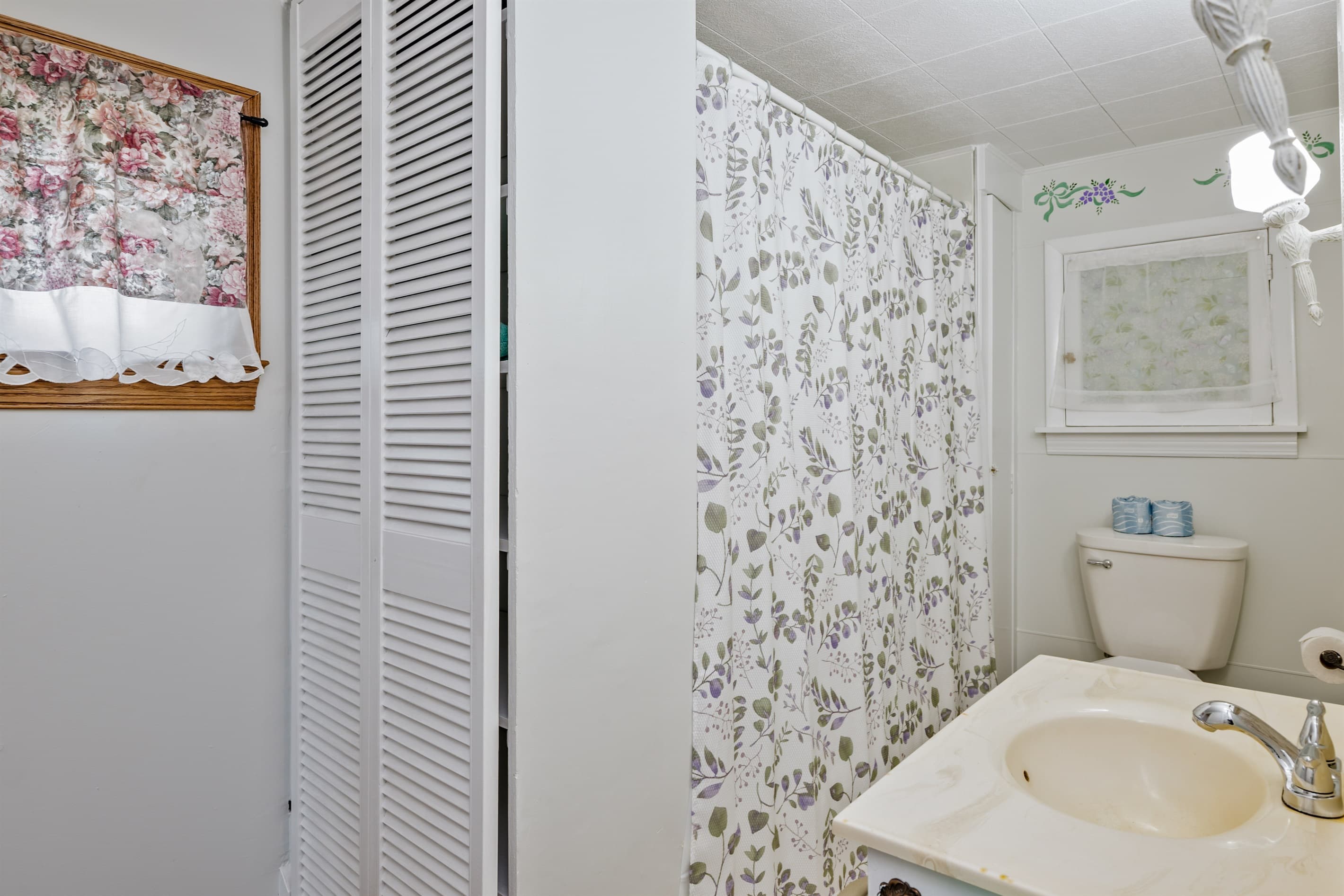 Bathroom with toilet and shower curtain