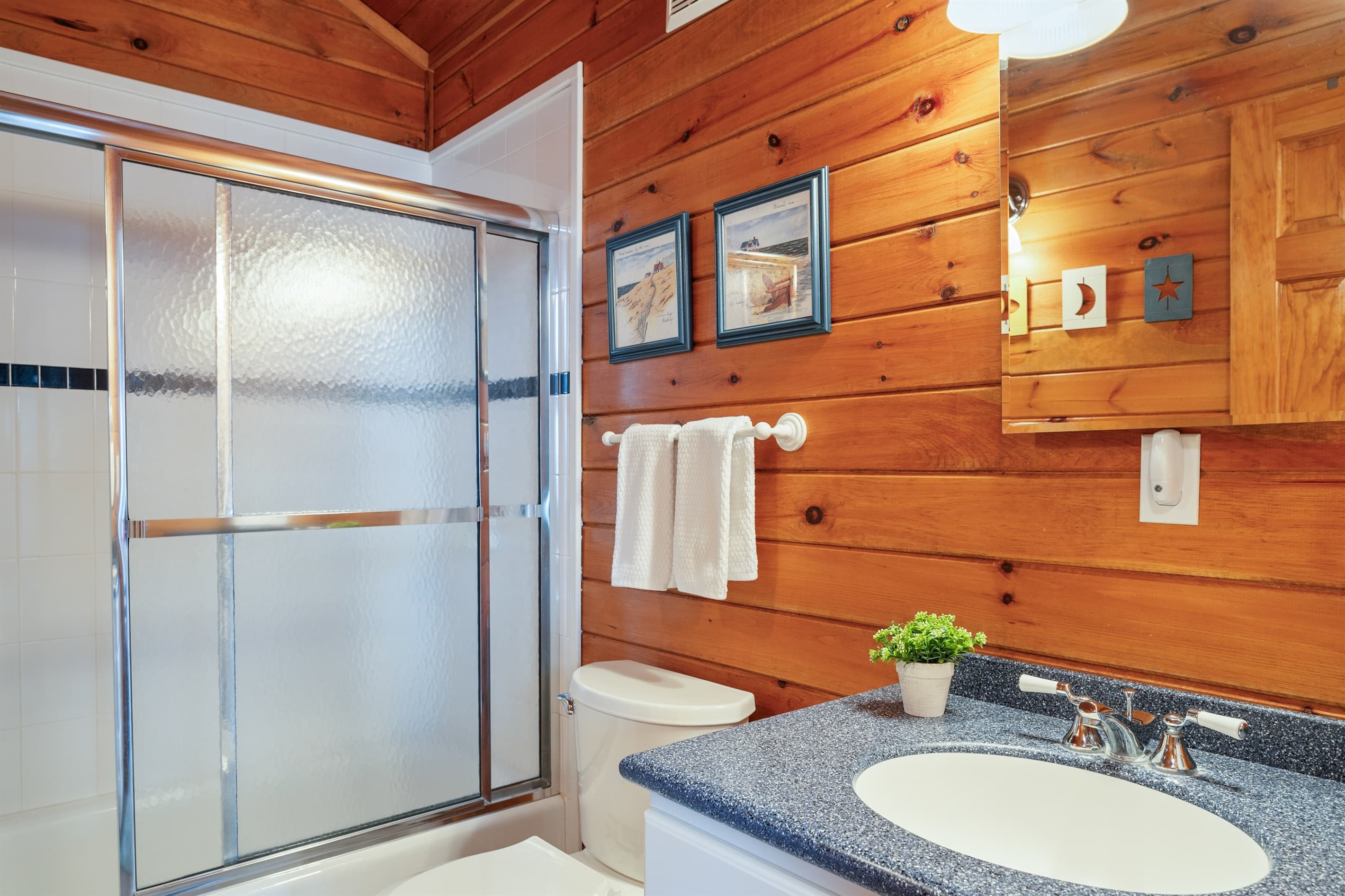 Modern shower with sliding glass doors