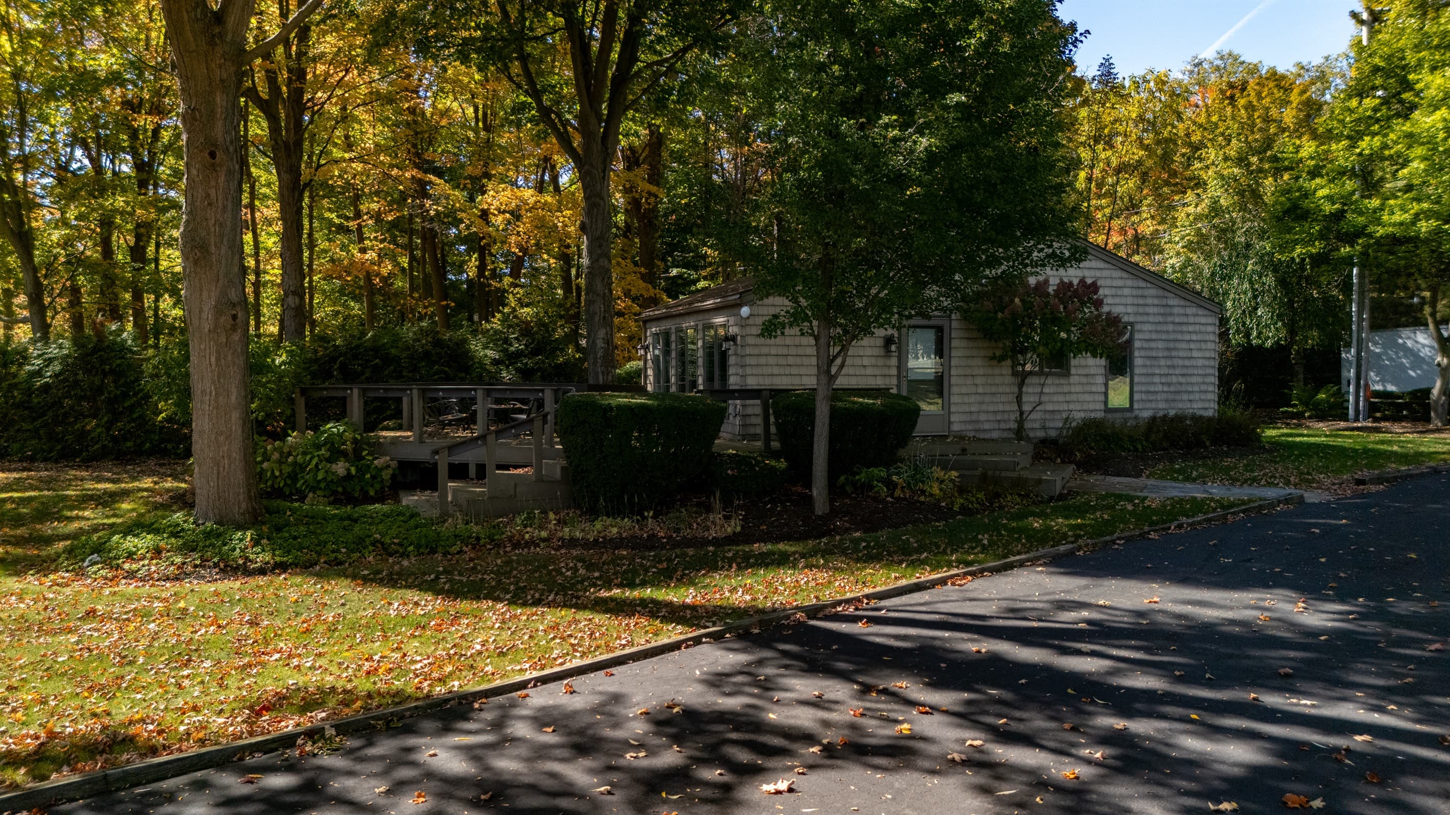 Guest house beneath mature trees
