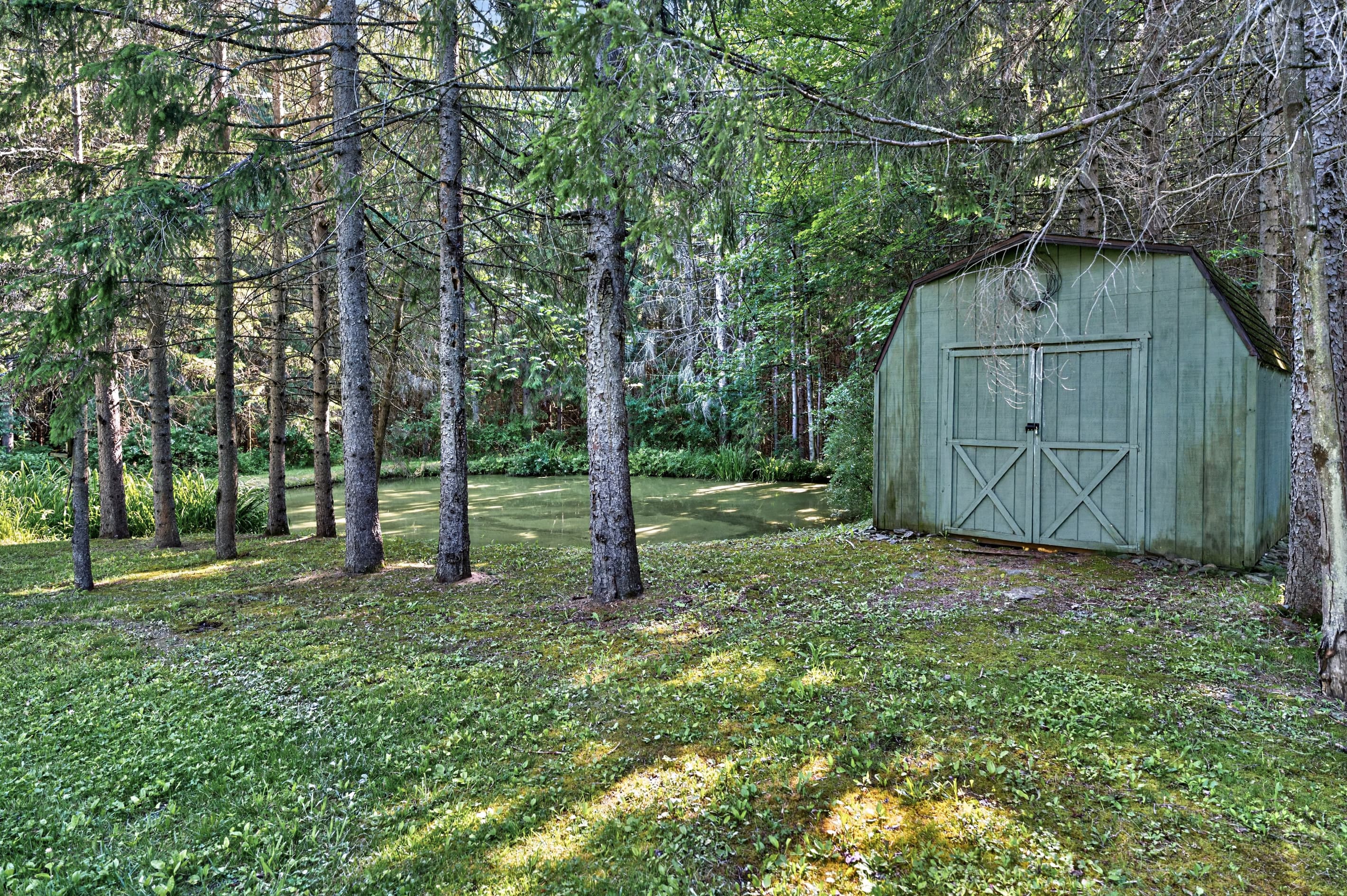 Storage shed at the forest edge
