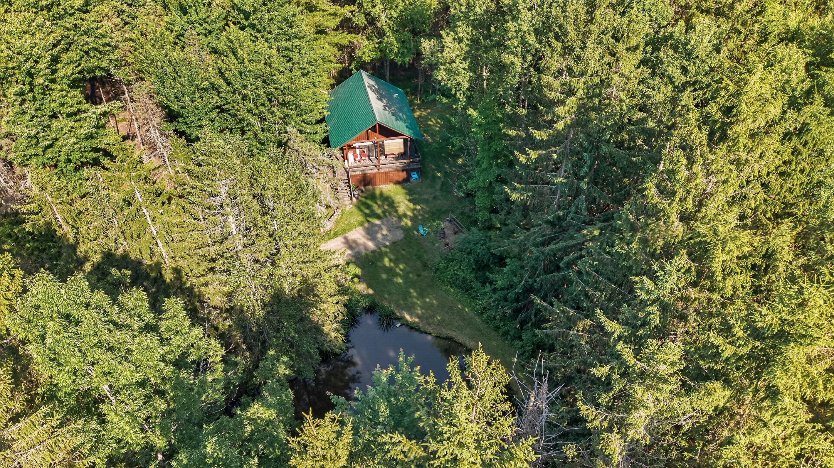 Cabin surrounded by dense forest