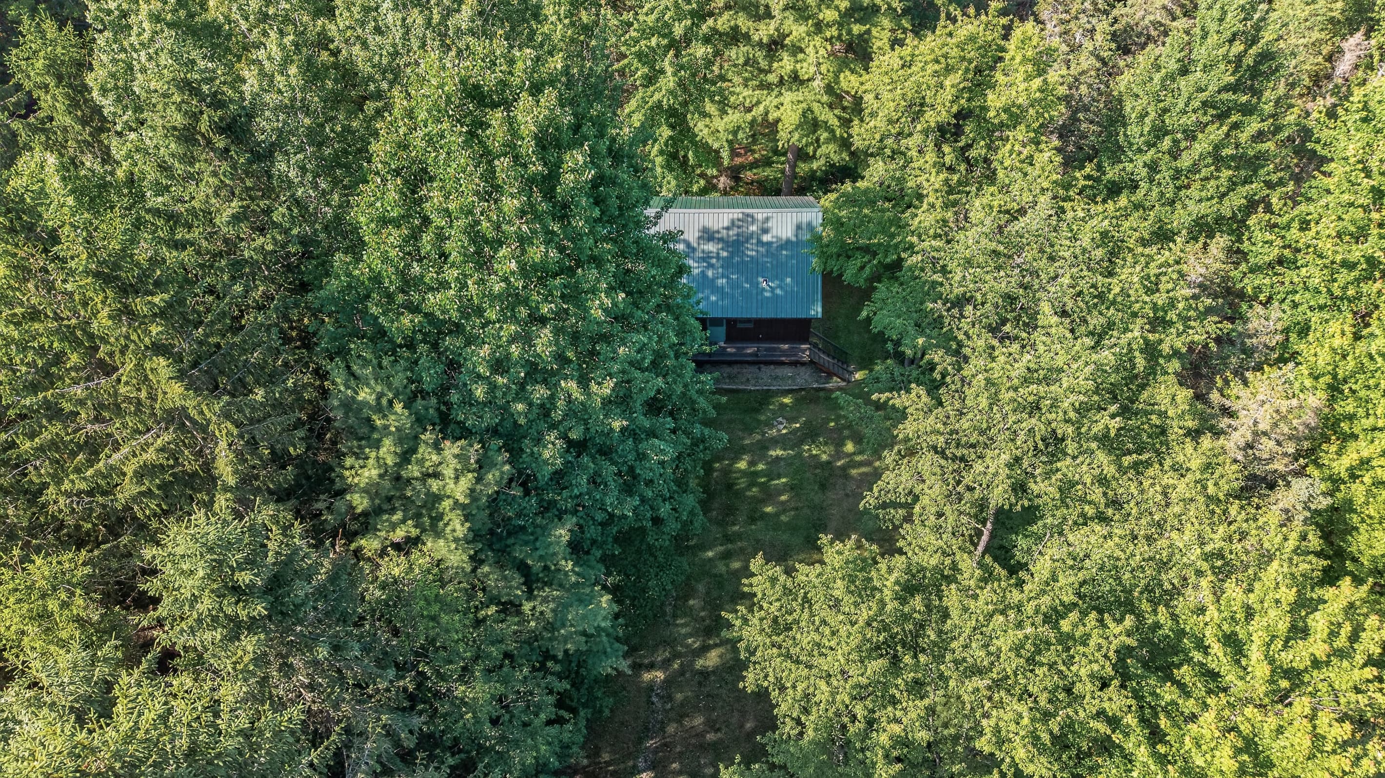 Aerial view of the wooded property