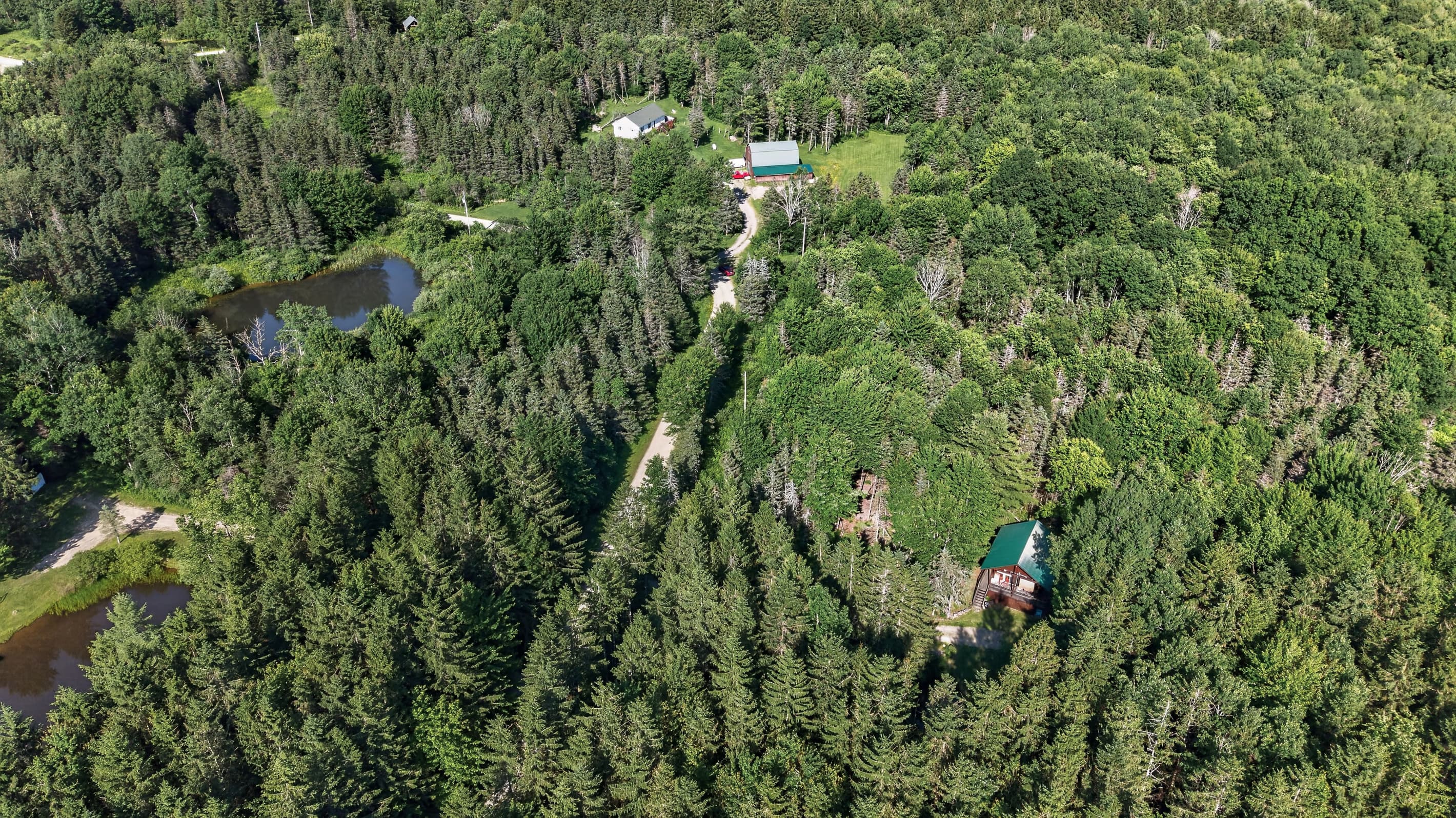 Wooded surroundings viewed from above