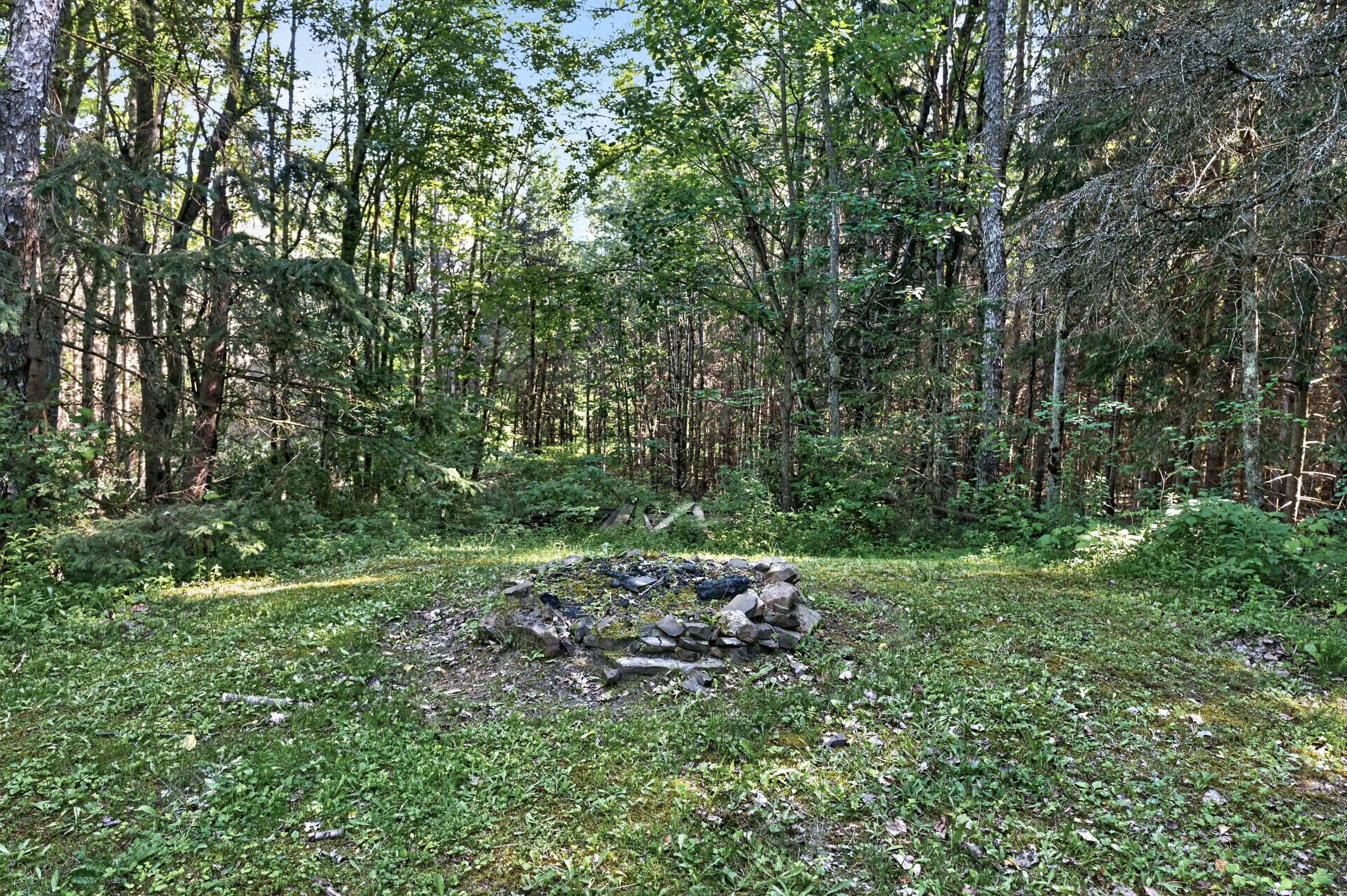 Stone fire pit in a wooded clearing