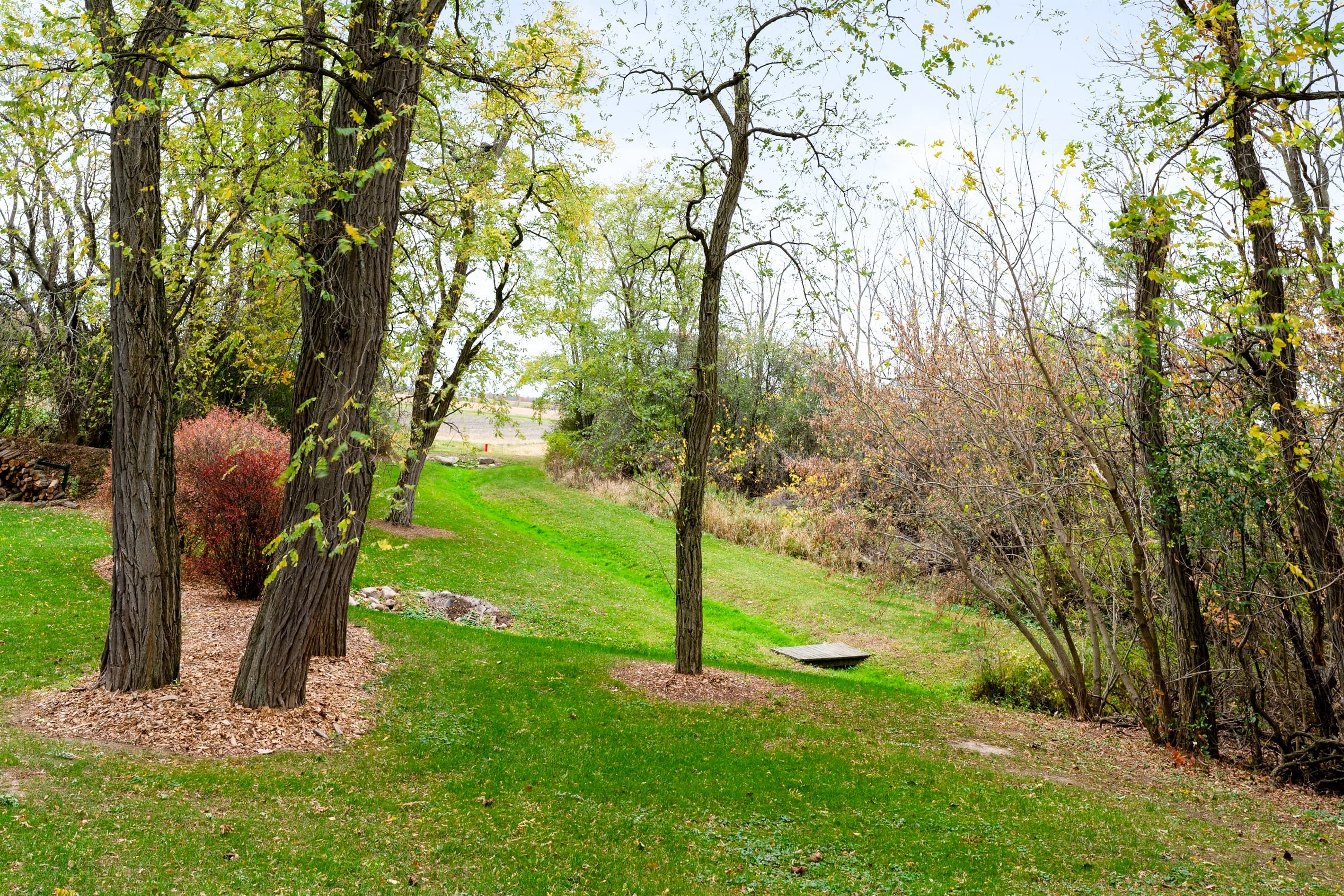 Wooded walking path across the property