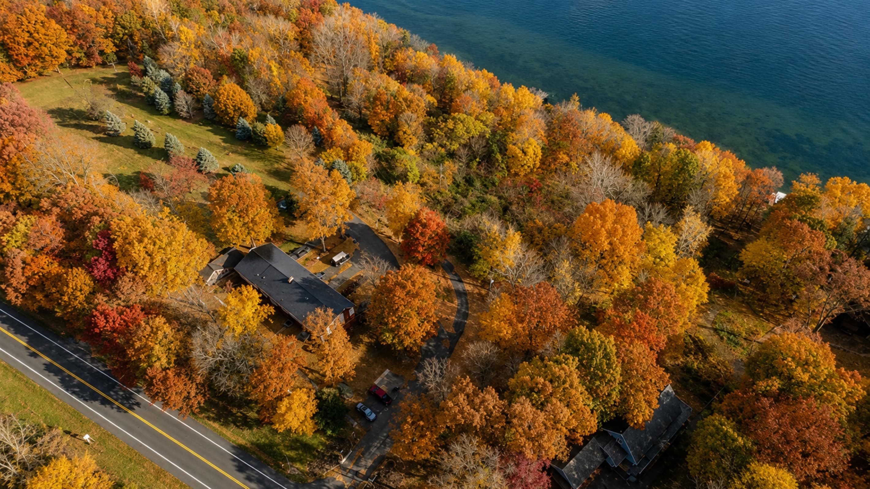 Aerial view of the wooded property