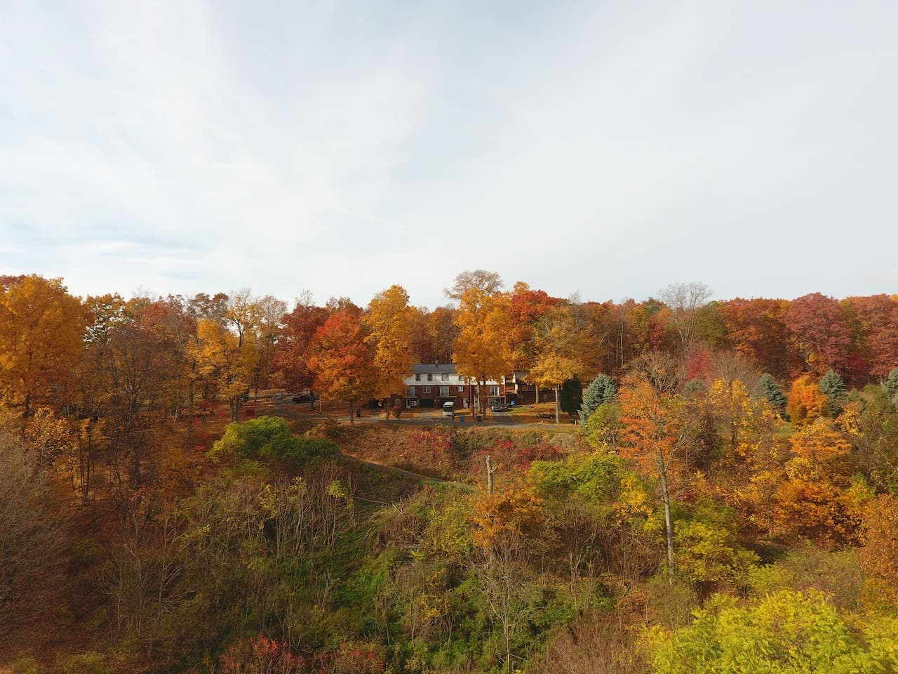Wooded property during autumn