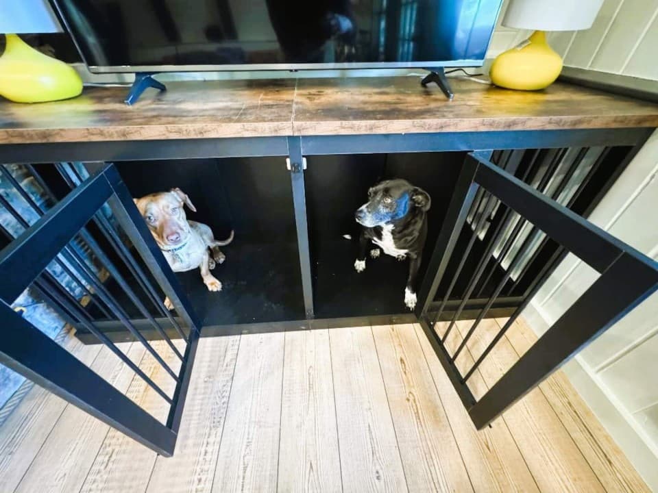 Gallery Image 13