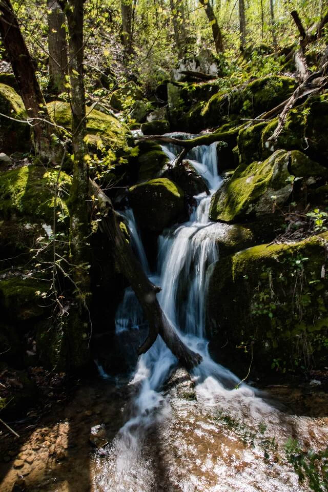 Area Waterfall