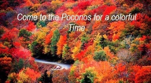 Incredible fall colors!