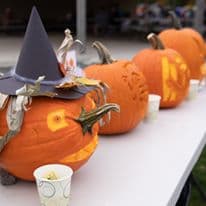 Pumpkin carving family vacation activities