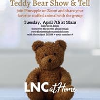 Teddy bear family vacation at Lake Naomi Club