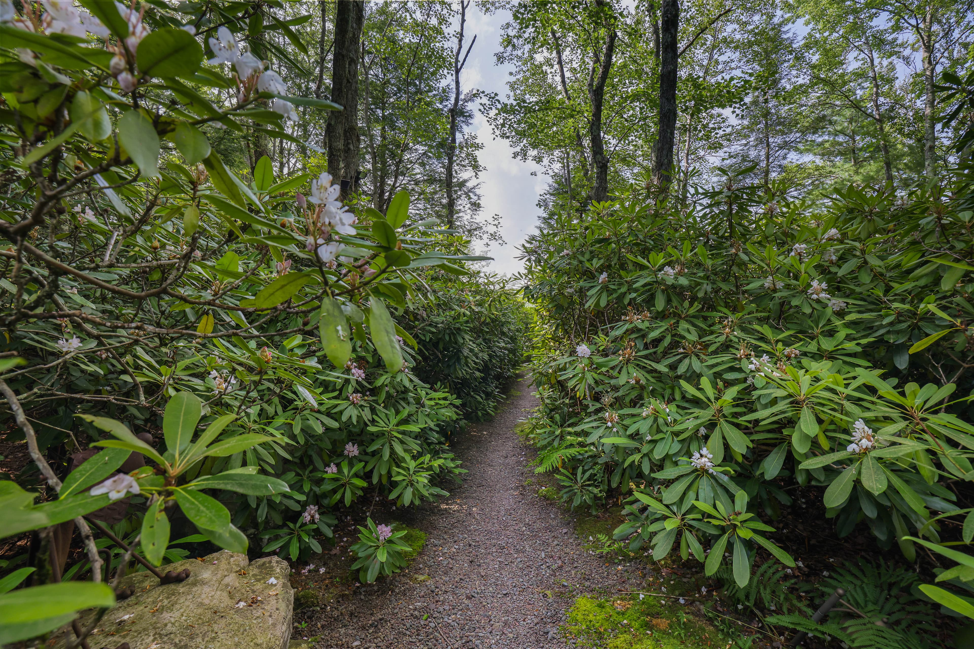 Winding short path to private beach