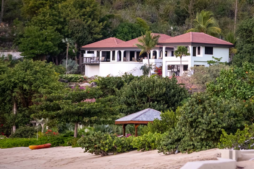 Large Image