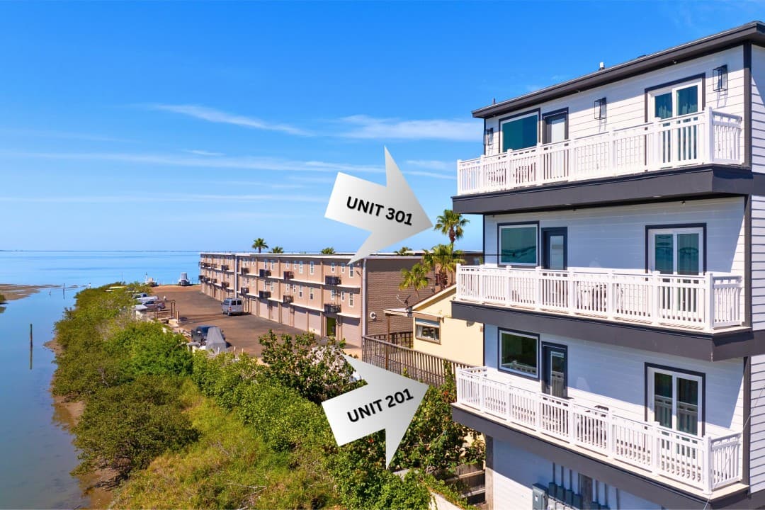 Pelican 201 and 301 · #SouthPadre The Stunning Beachview Condo Combo (1)